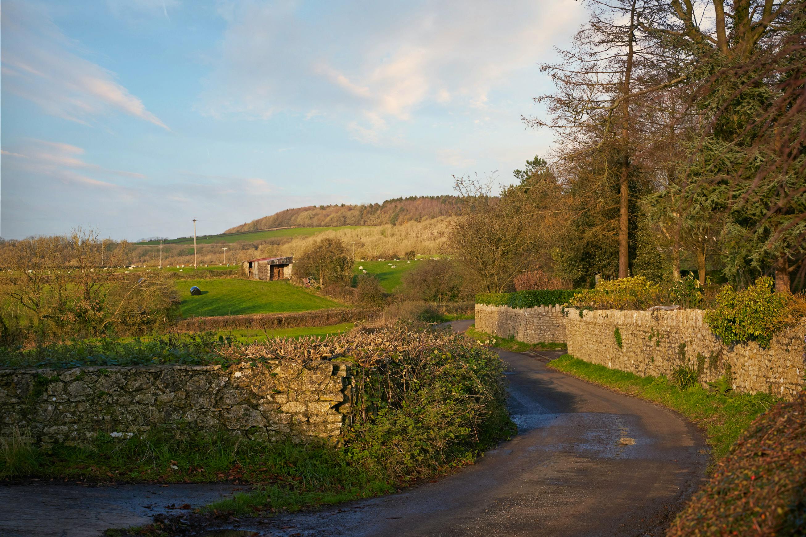 Lane, East Horrington 