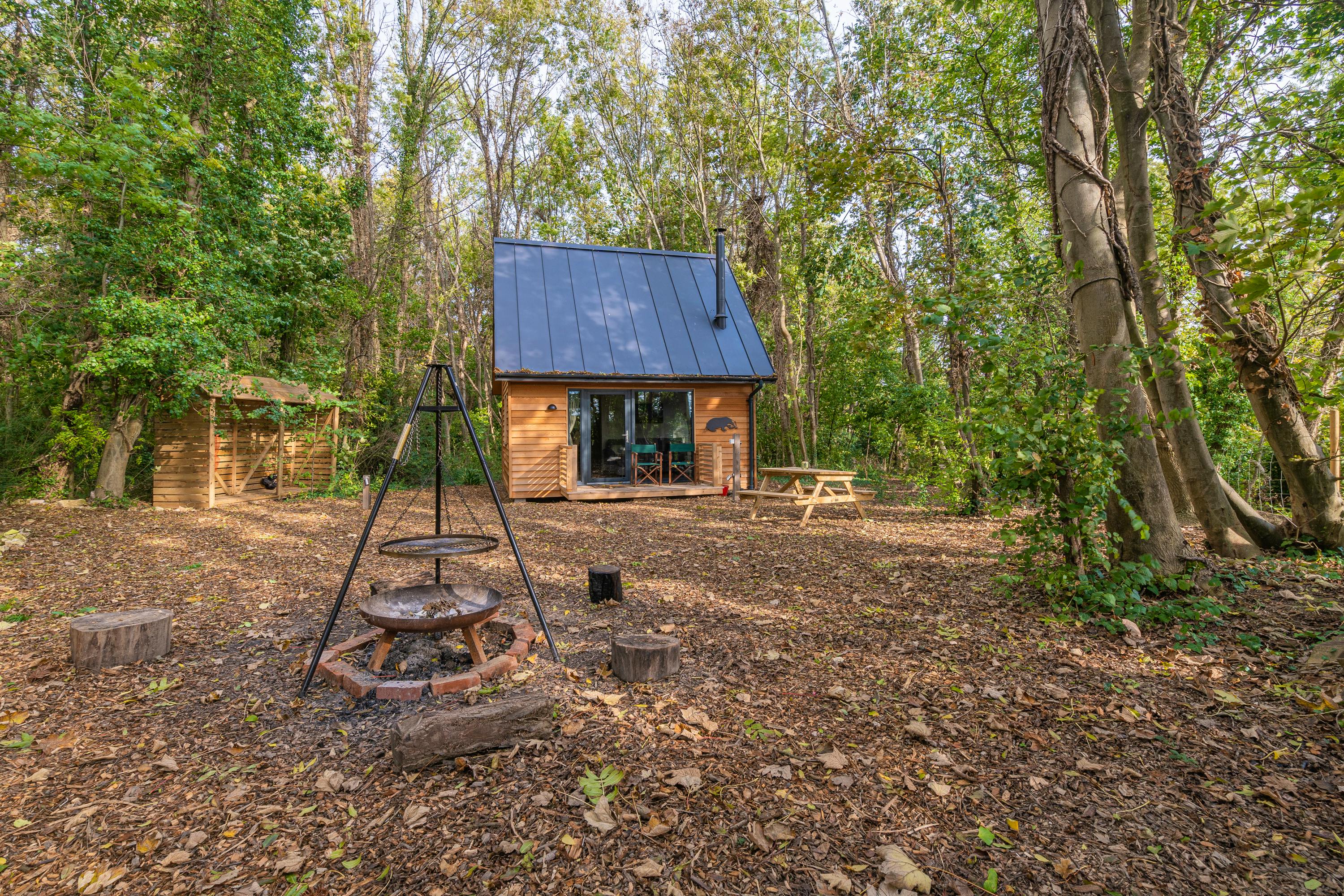 This Week's New Finds