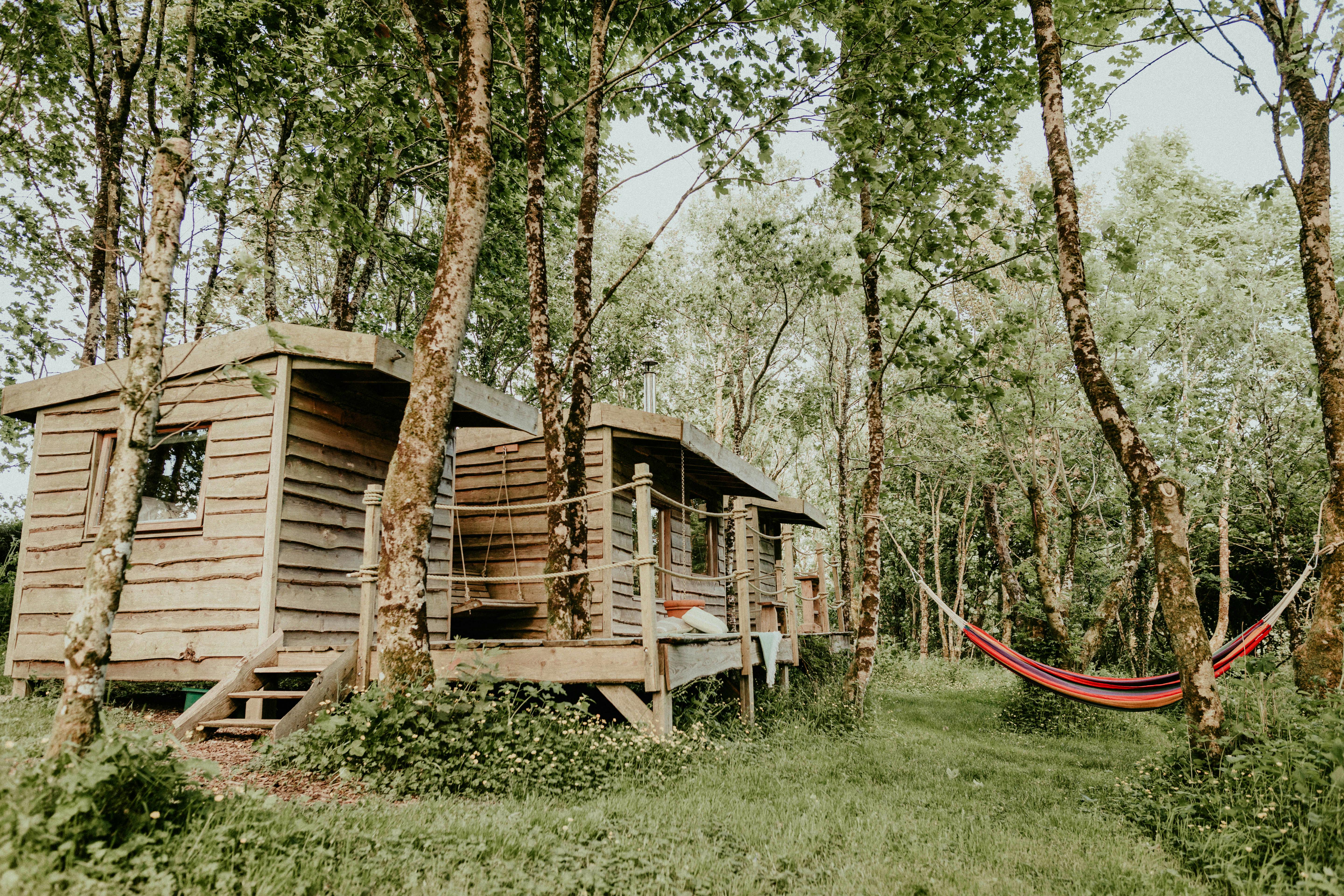 Best New Year's Deals