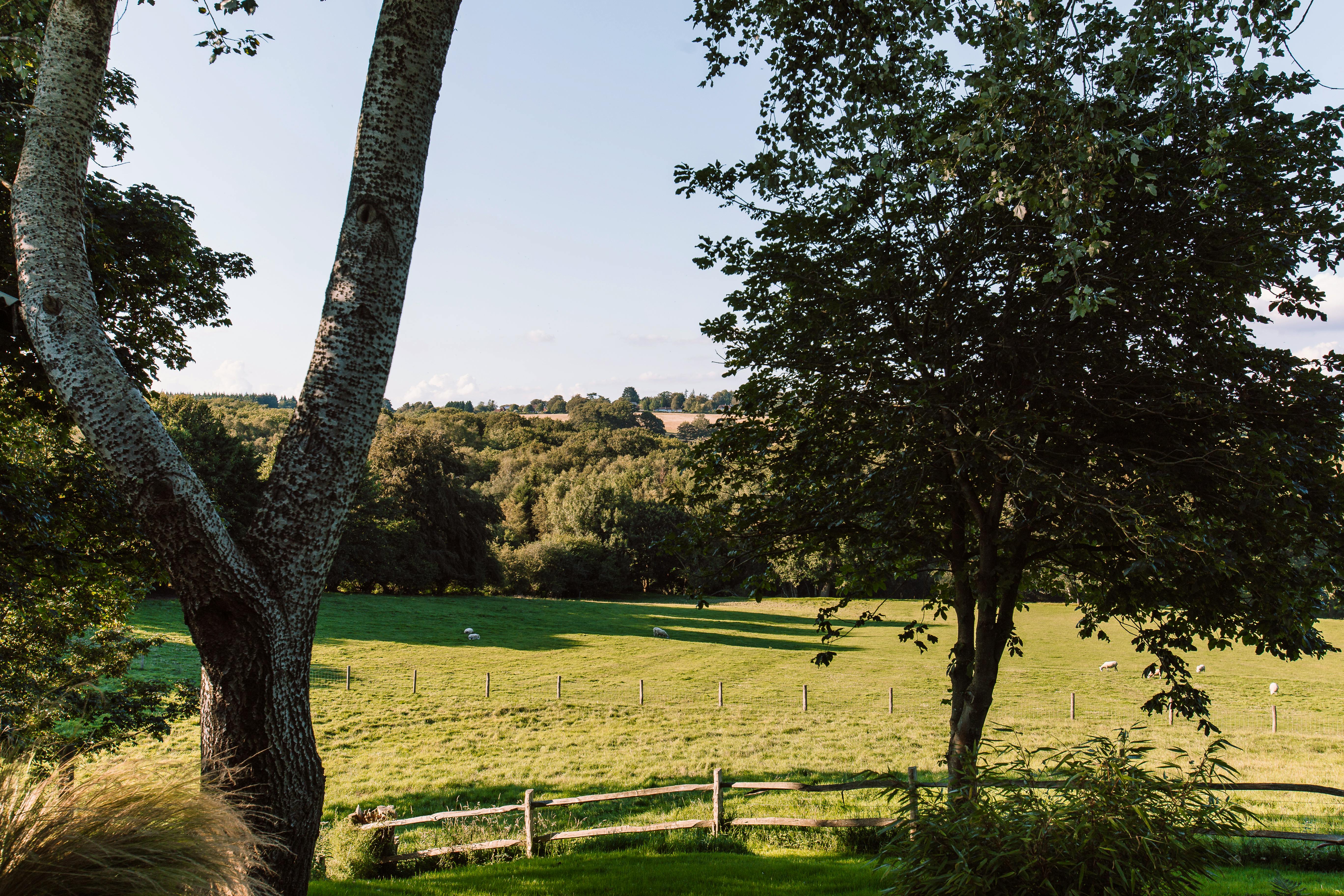 View out over the rolling hills
