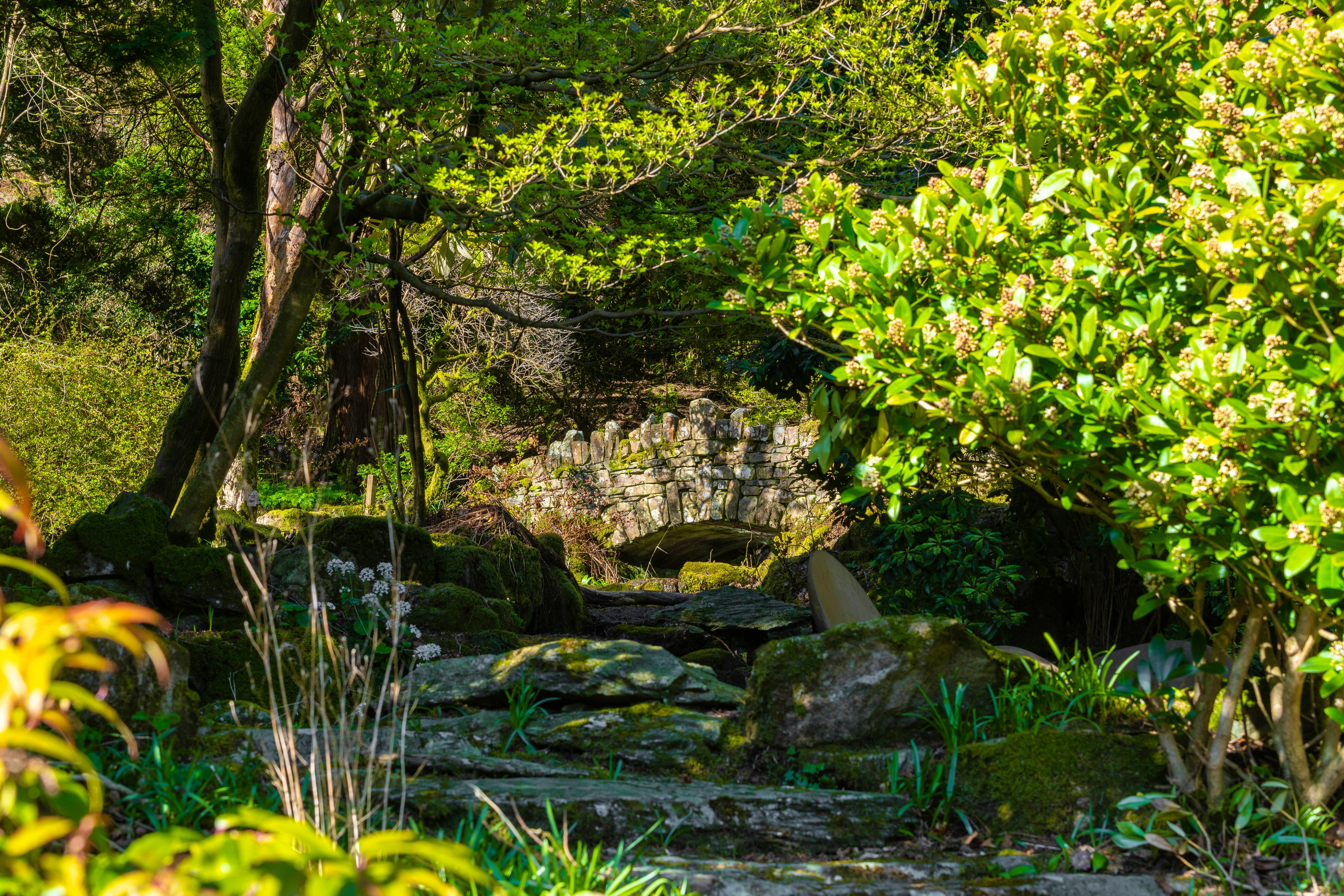 Stone bridge in gardens