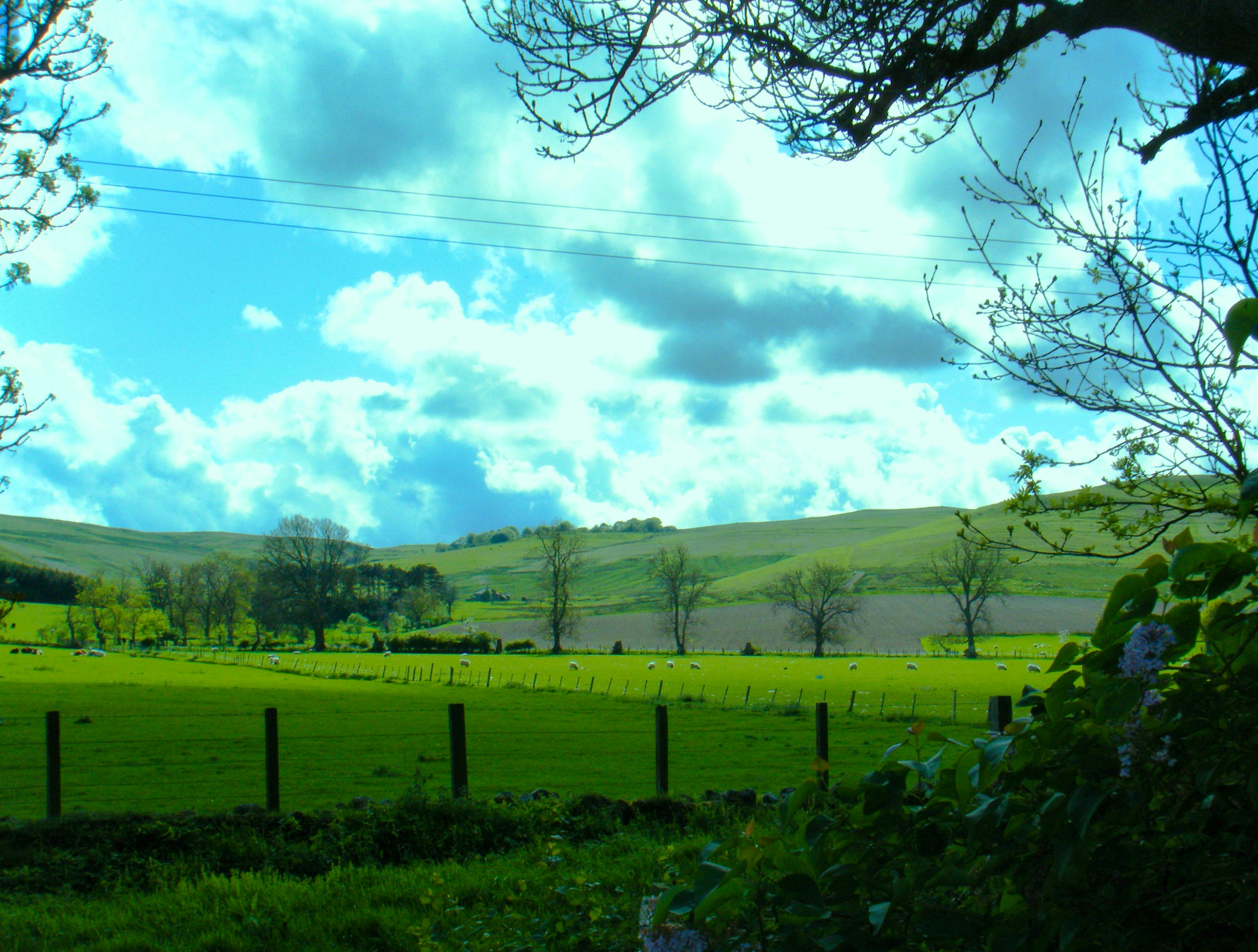 Views around our cottages