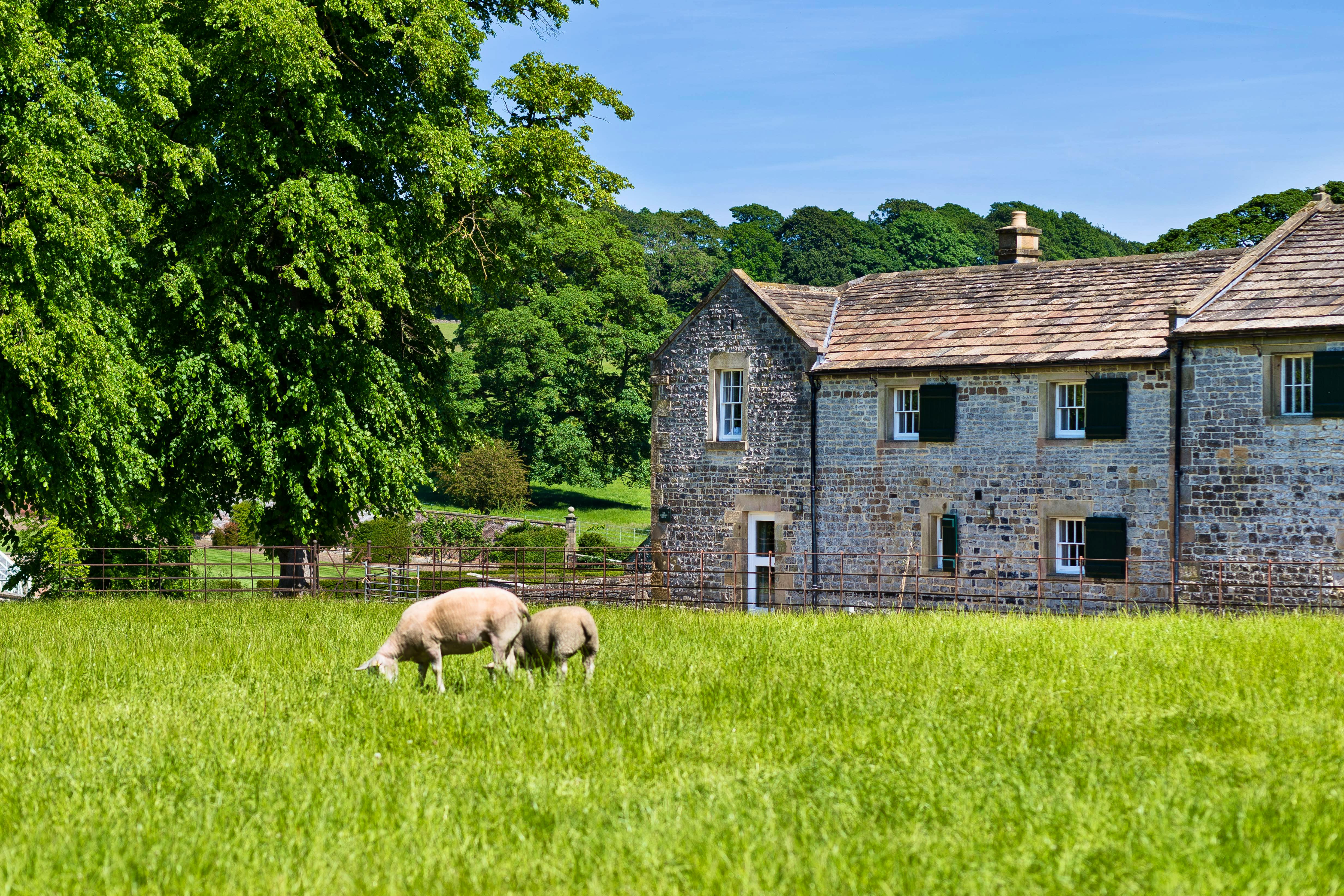 Stays for Summer Weekends