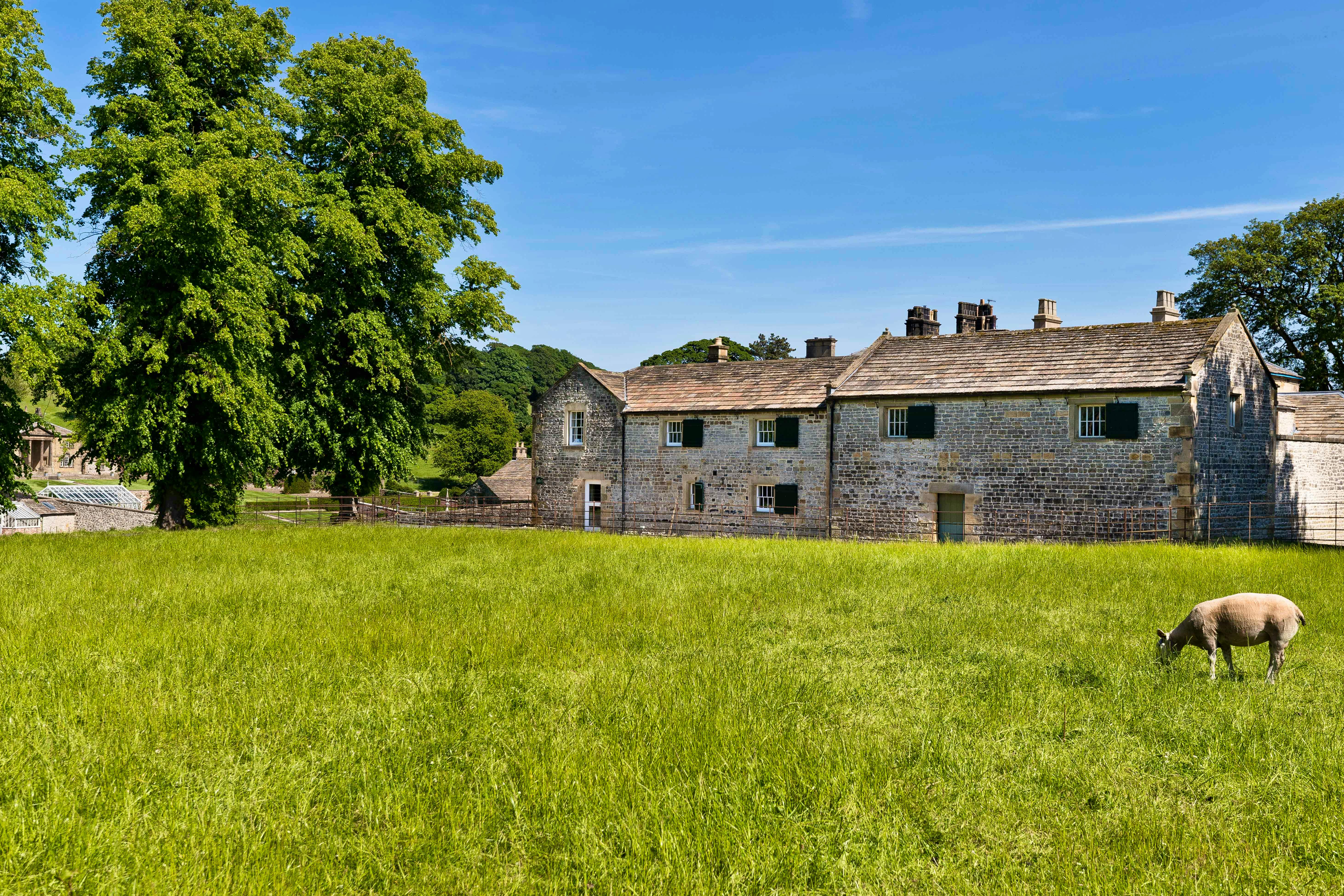 Family-Size Summer Stays