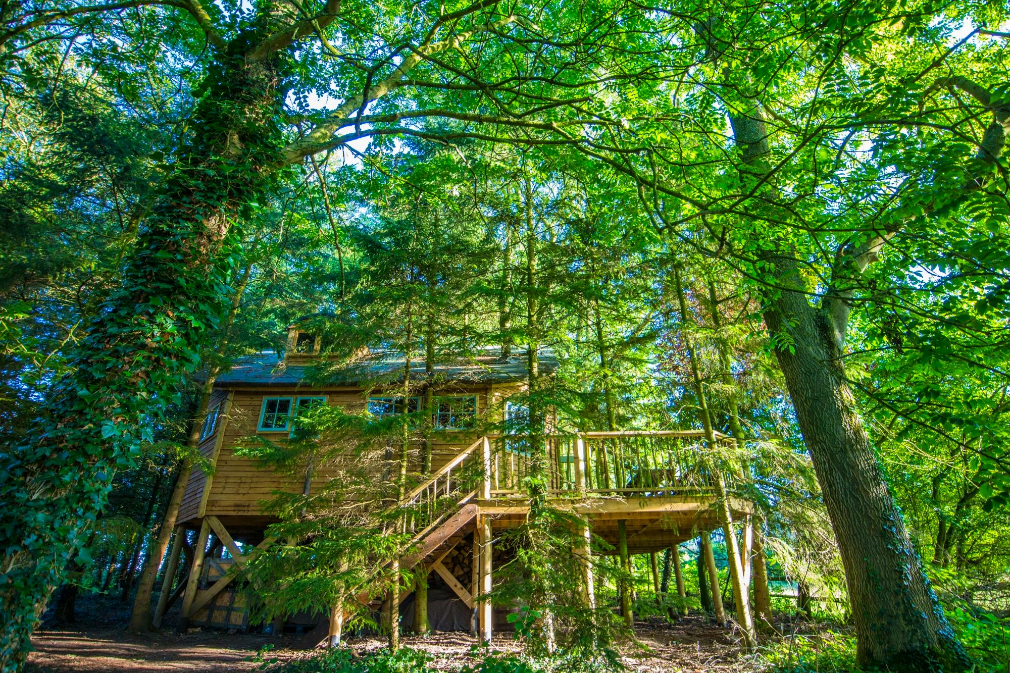 Sunrise Tree House Sleeps 6 