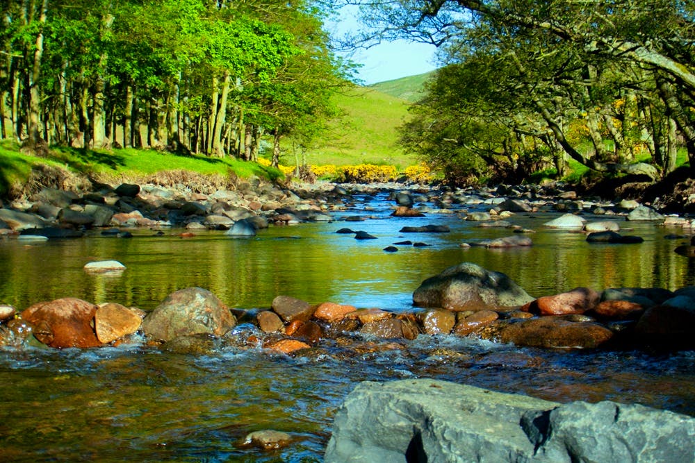 The river beside our cottages