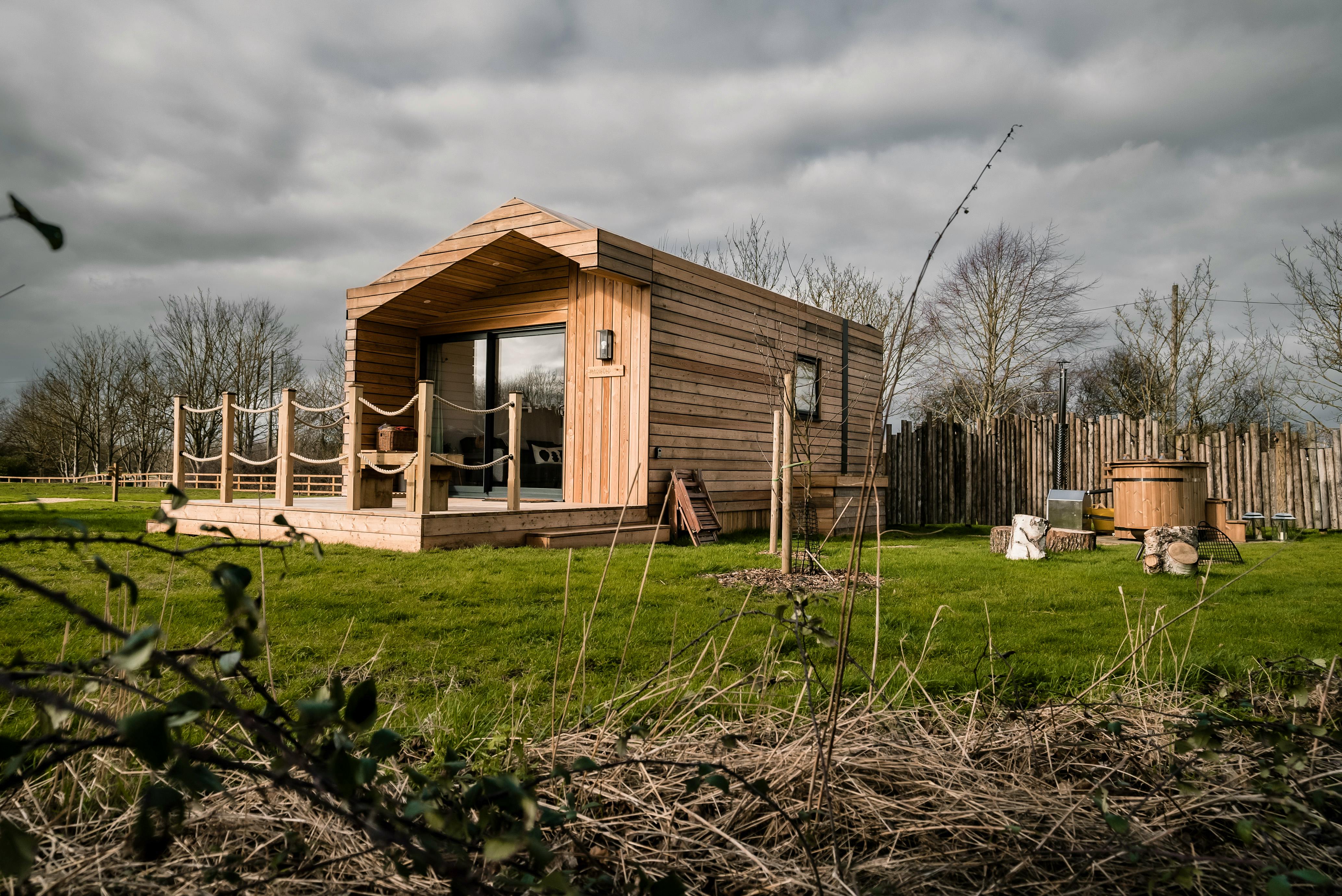 This Week's Best New Finds