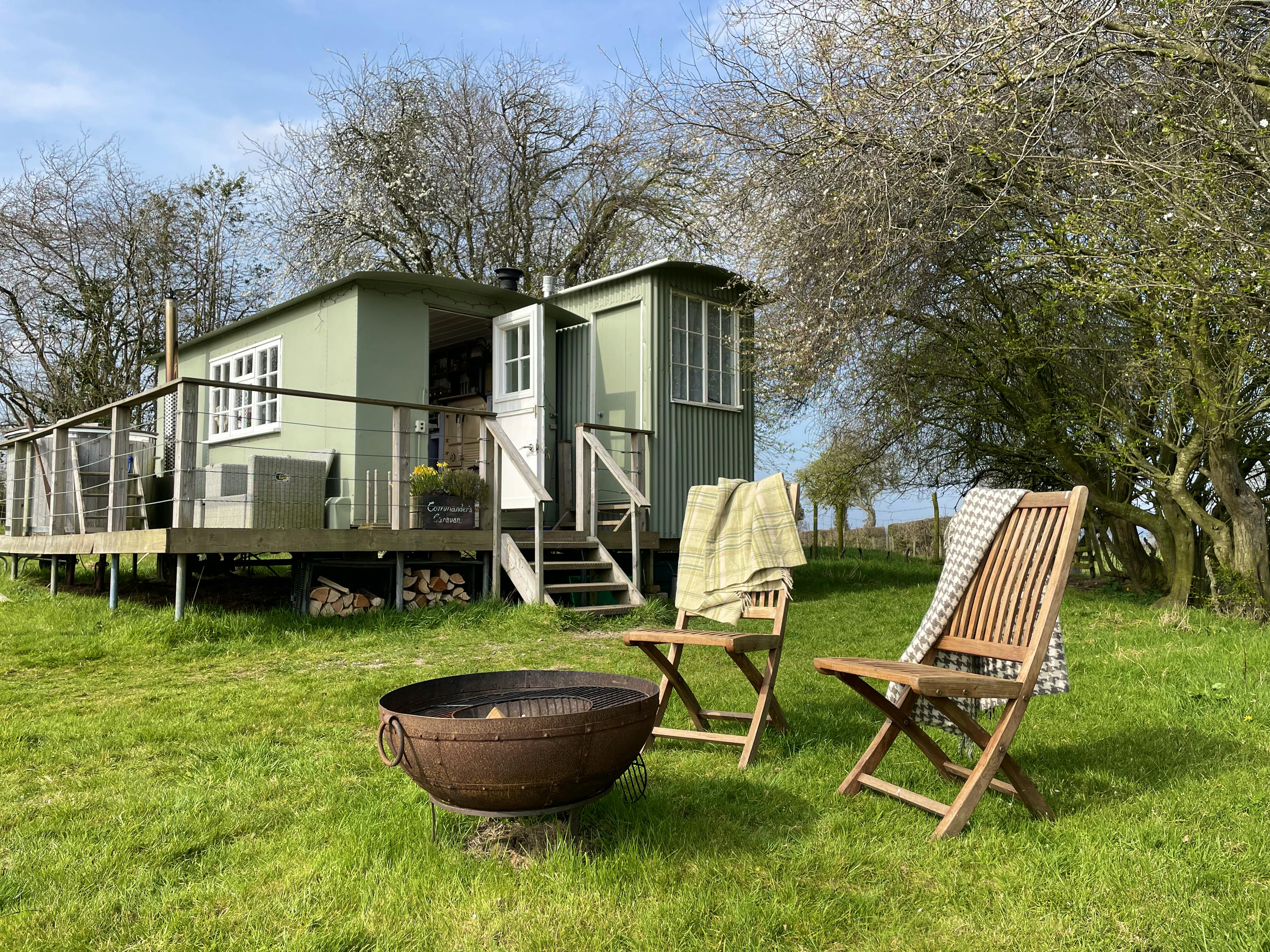 This Week's Best New Finds