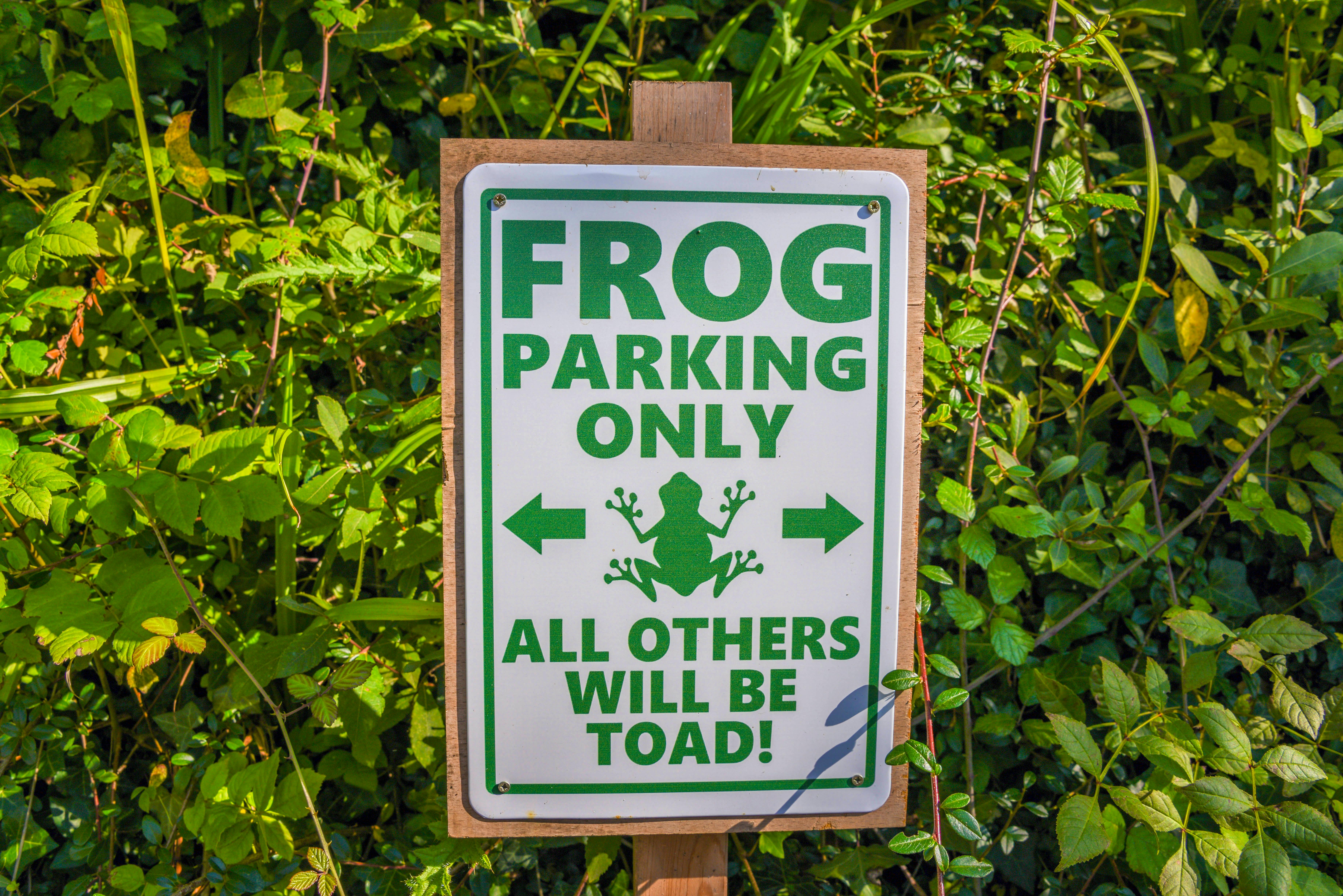 Ample off road parking