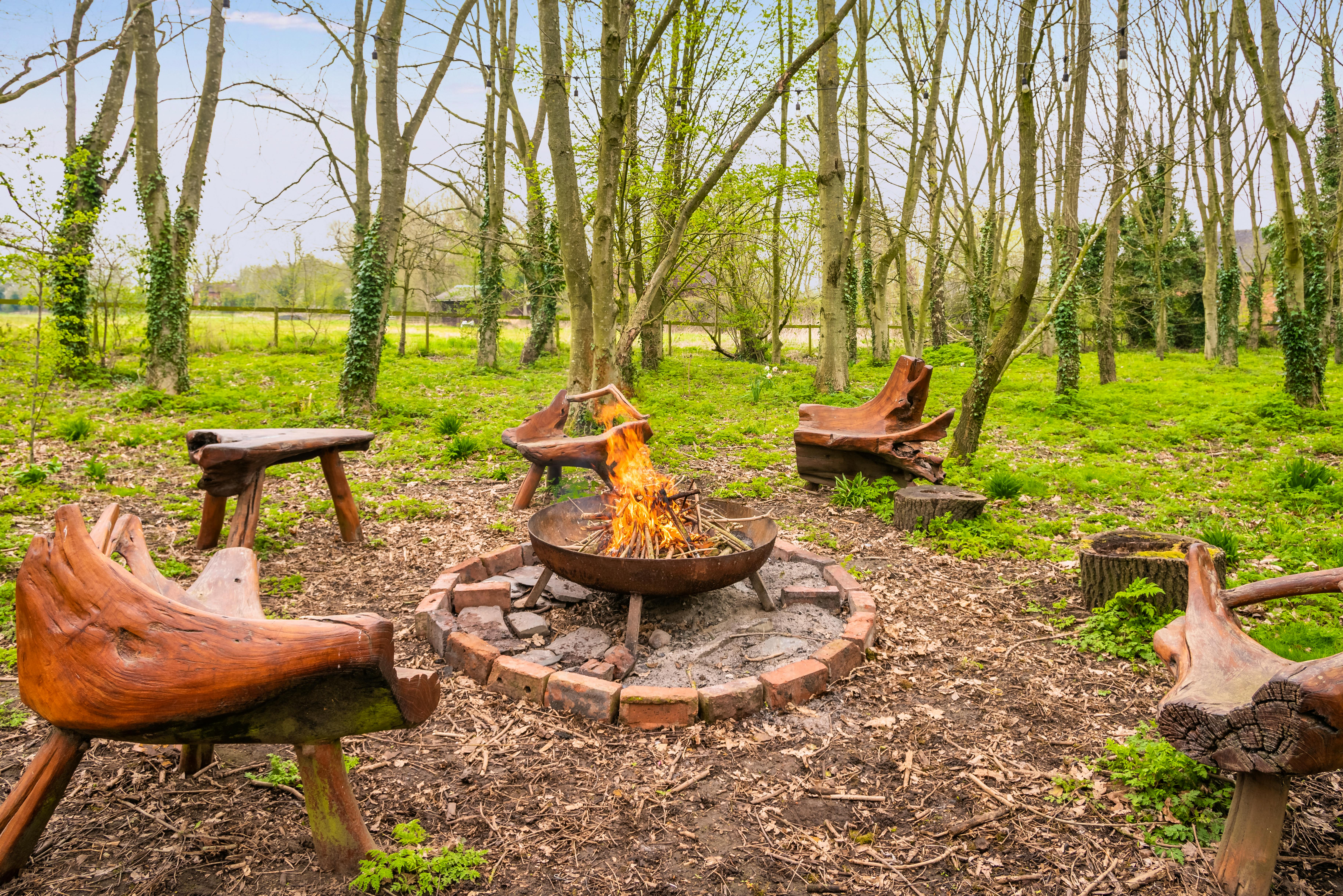 Fire pit area
