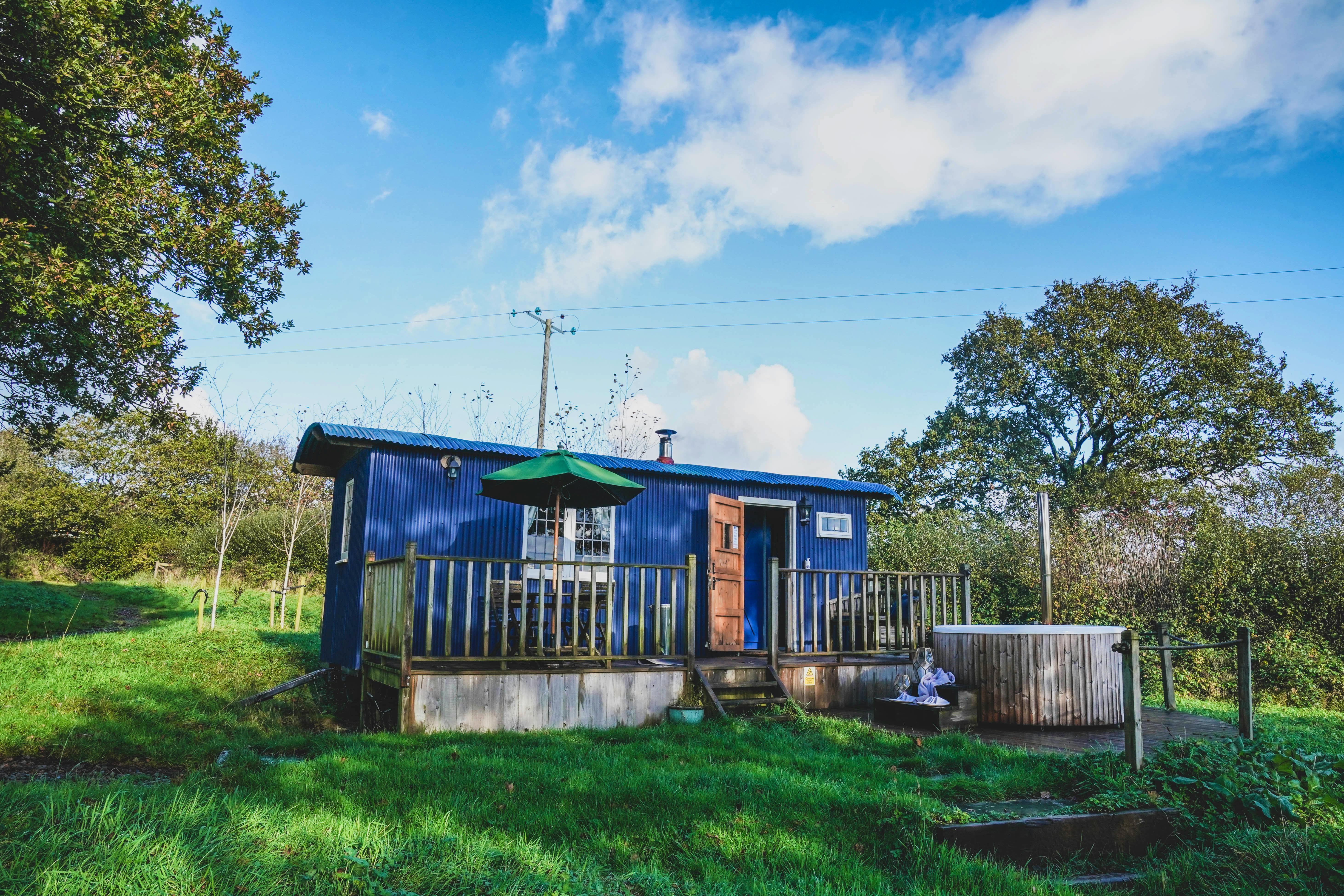 This Week's New Finds