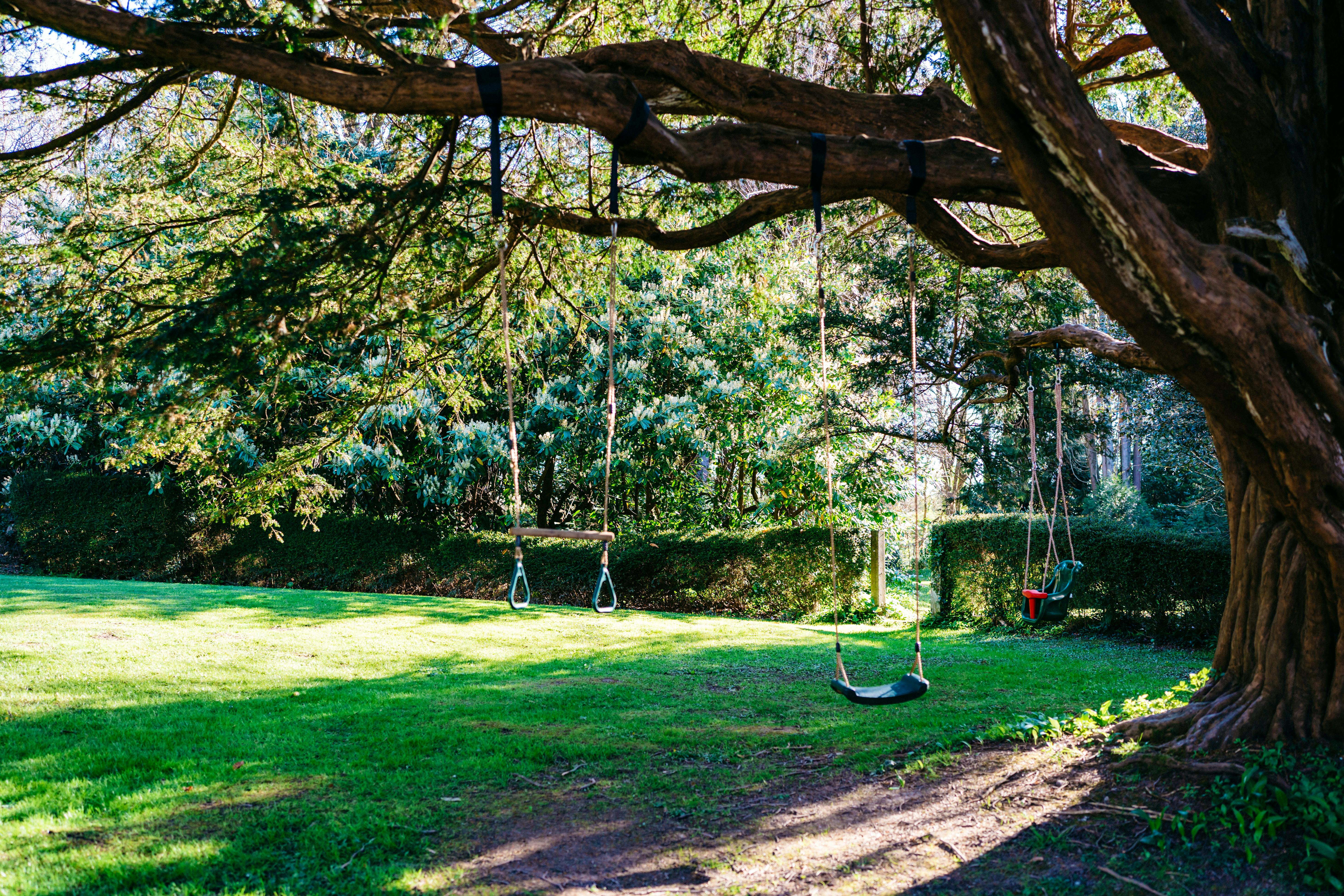 3 acres to explore with swings