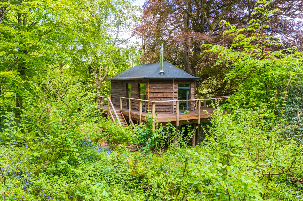 Cornish Treehouse - Luxury Cornish treehouse