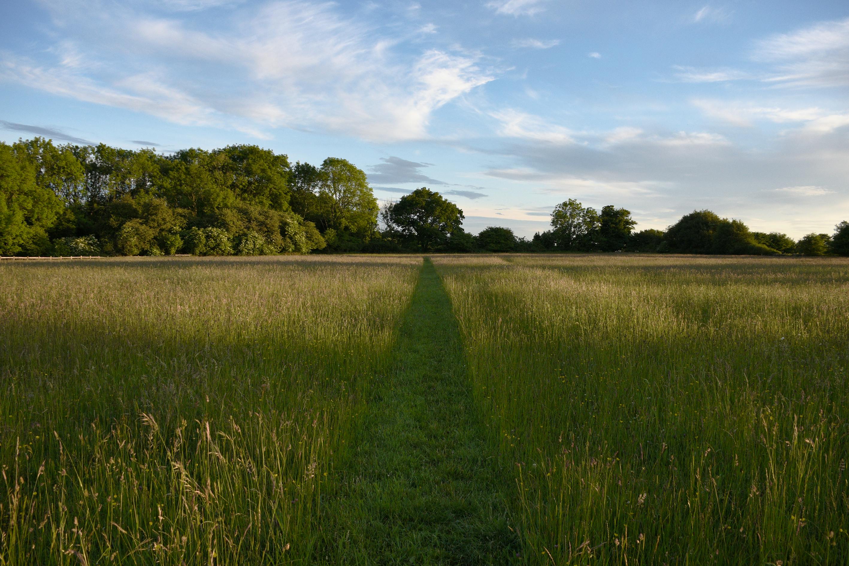 Meadow directly from the Barn