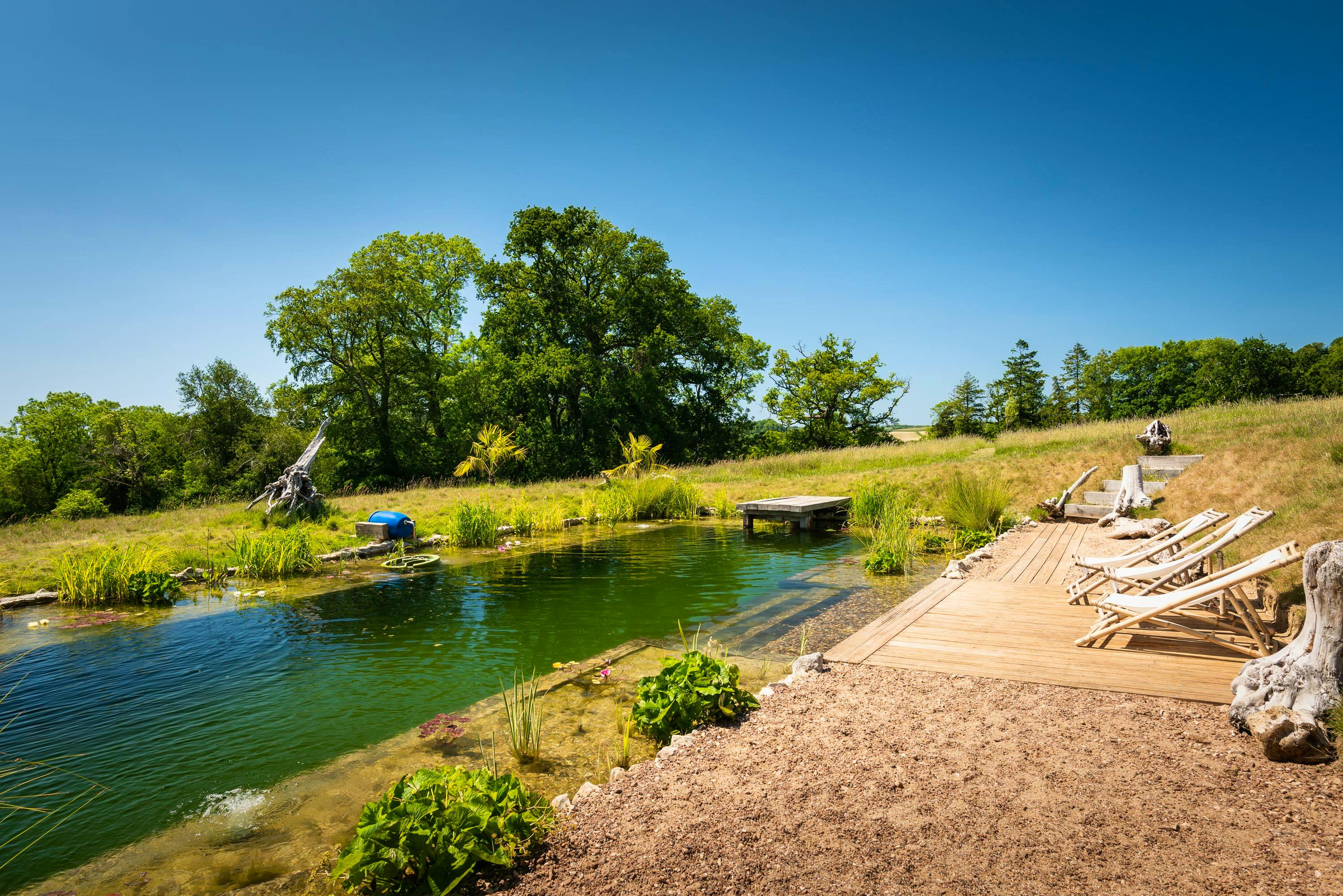 This Week's New Properties