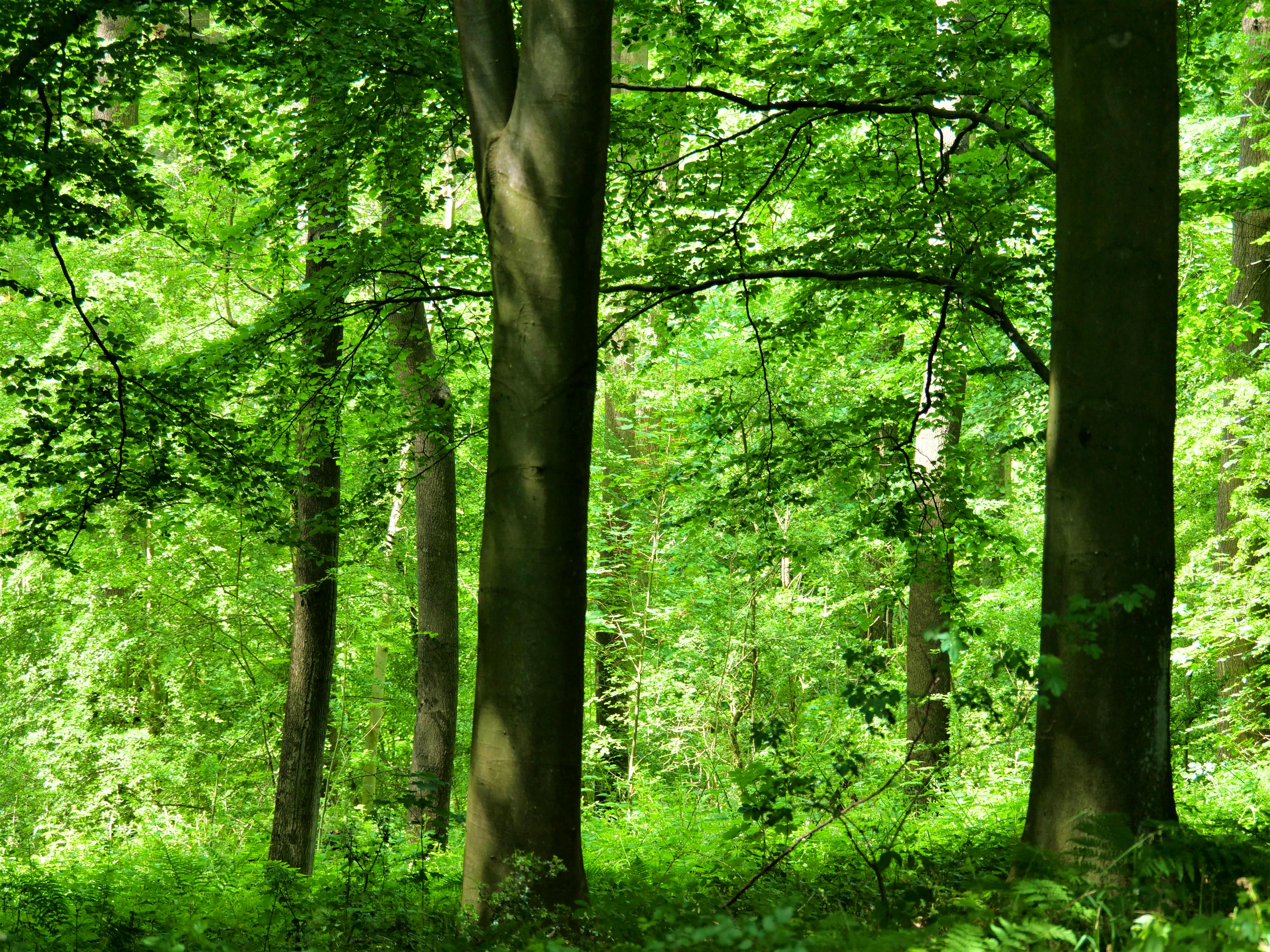 Reconnect with nature