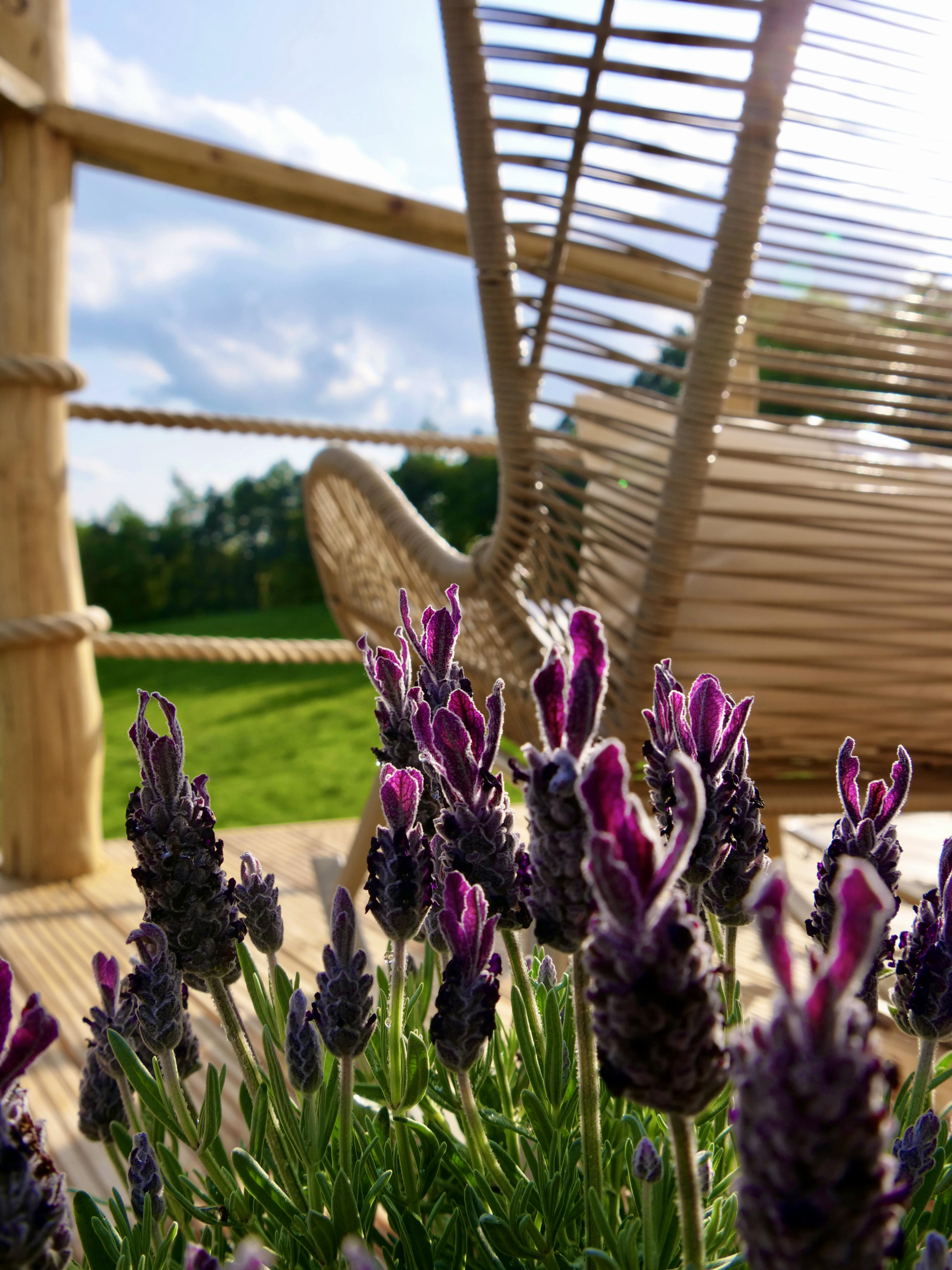 Catch those summer rays