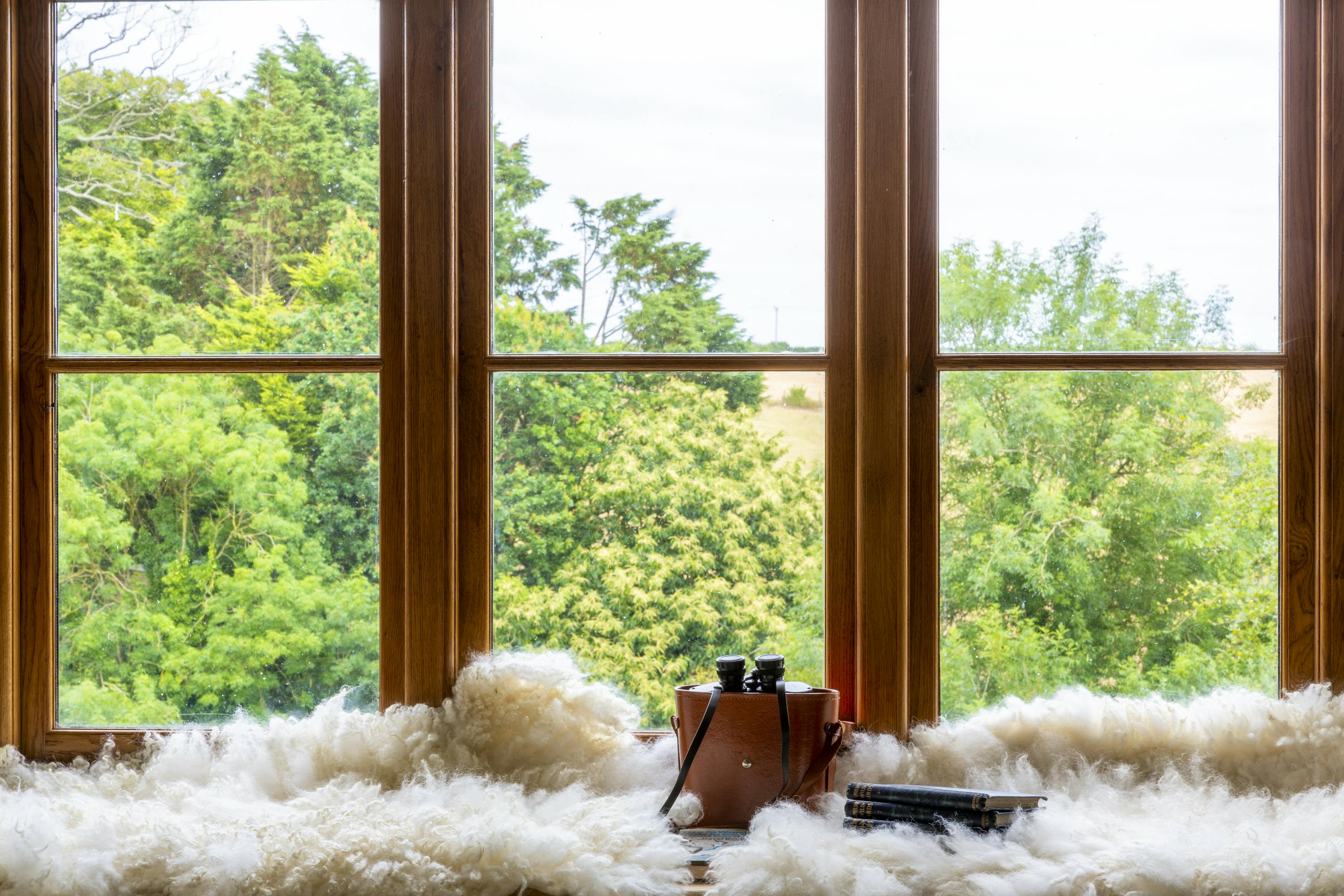 Birdwatching from the windows...