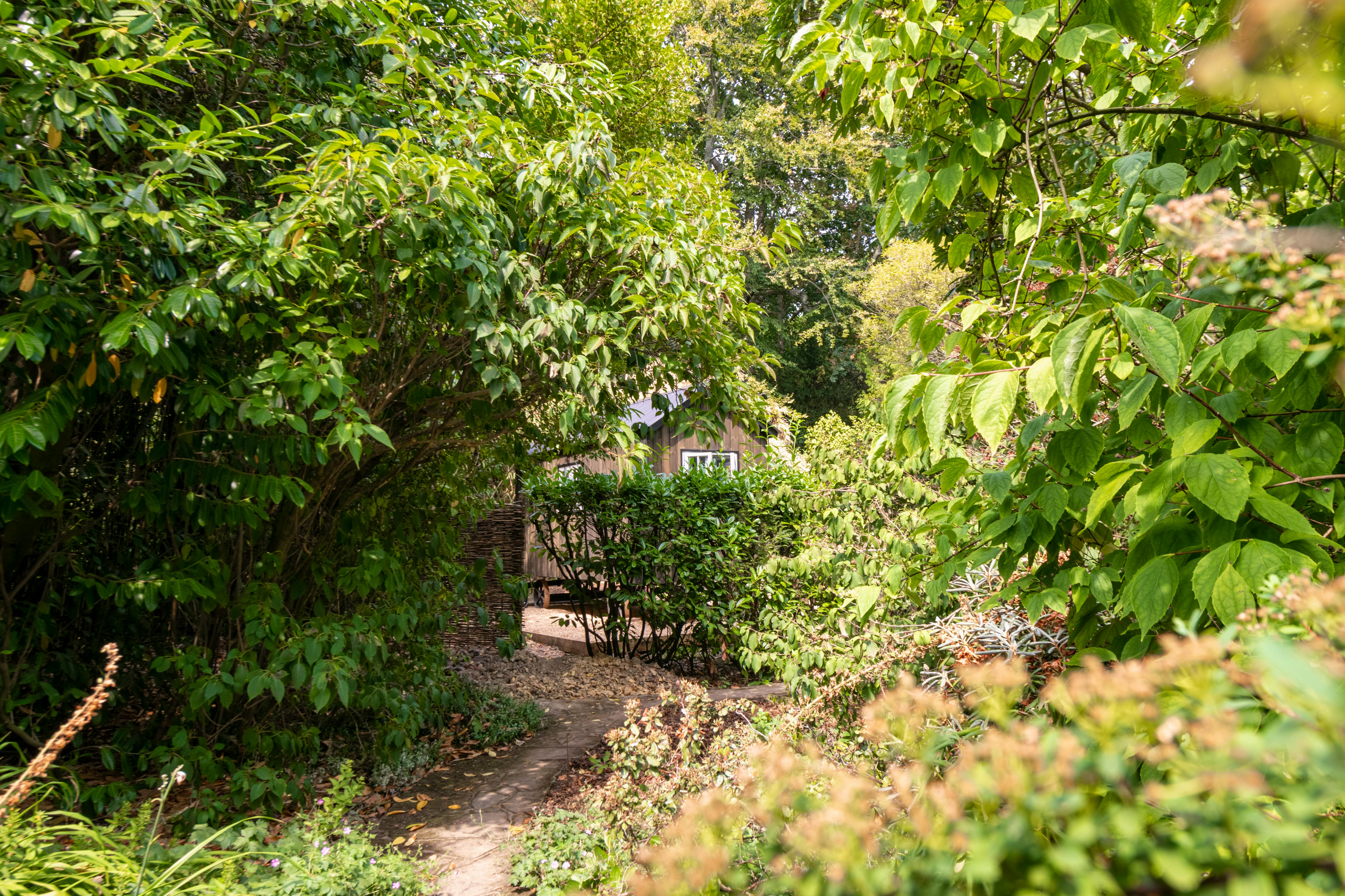 Nestled in the trees of a pinetum