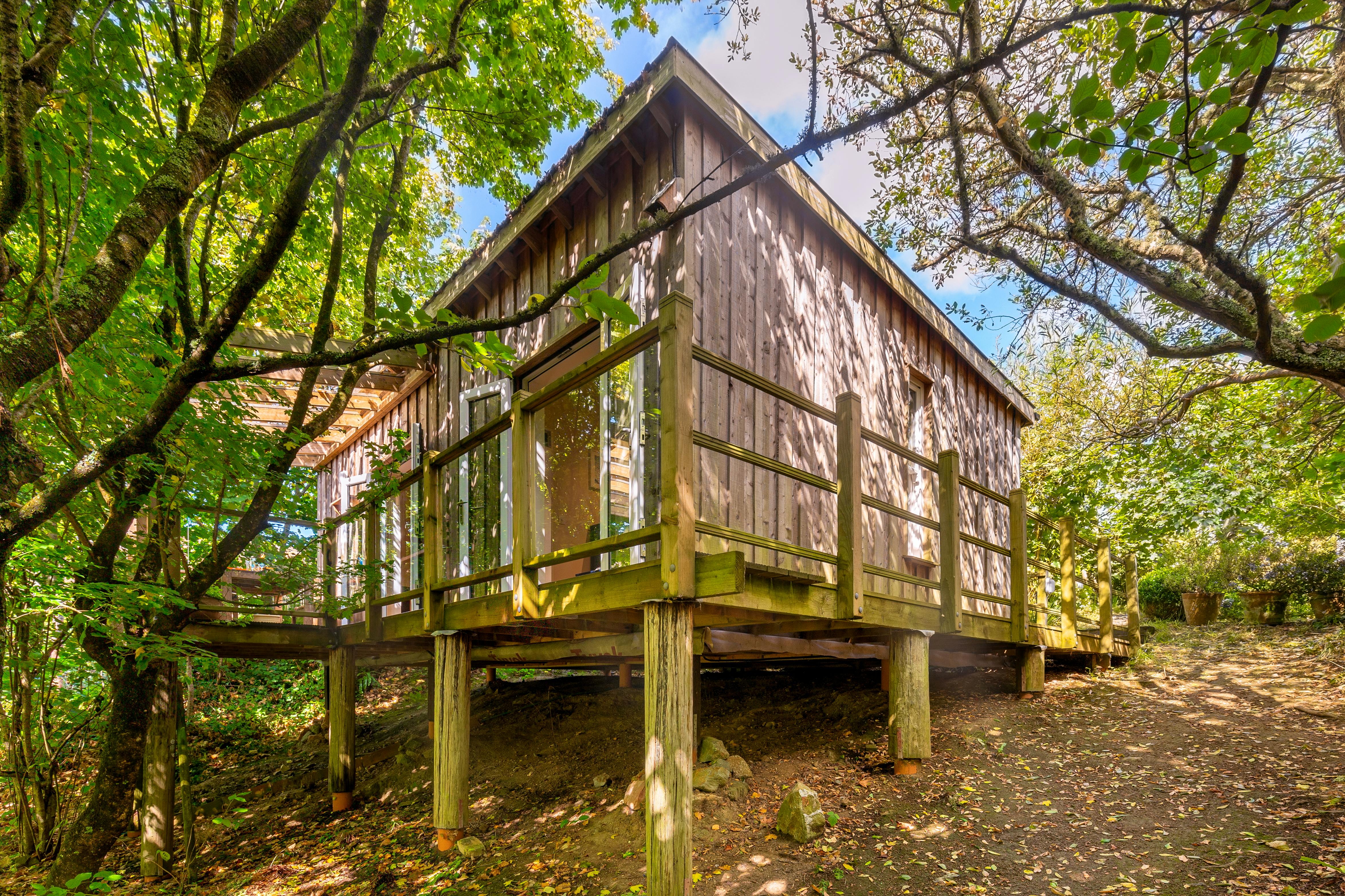 Best of the Last Minute Summer Deals