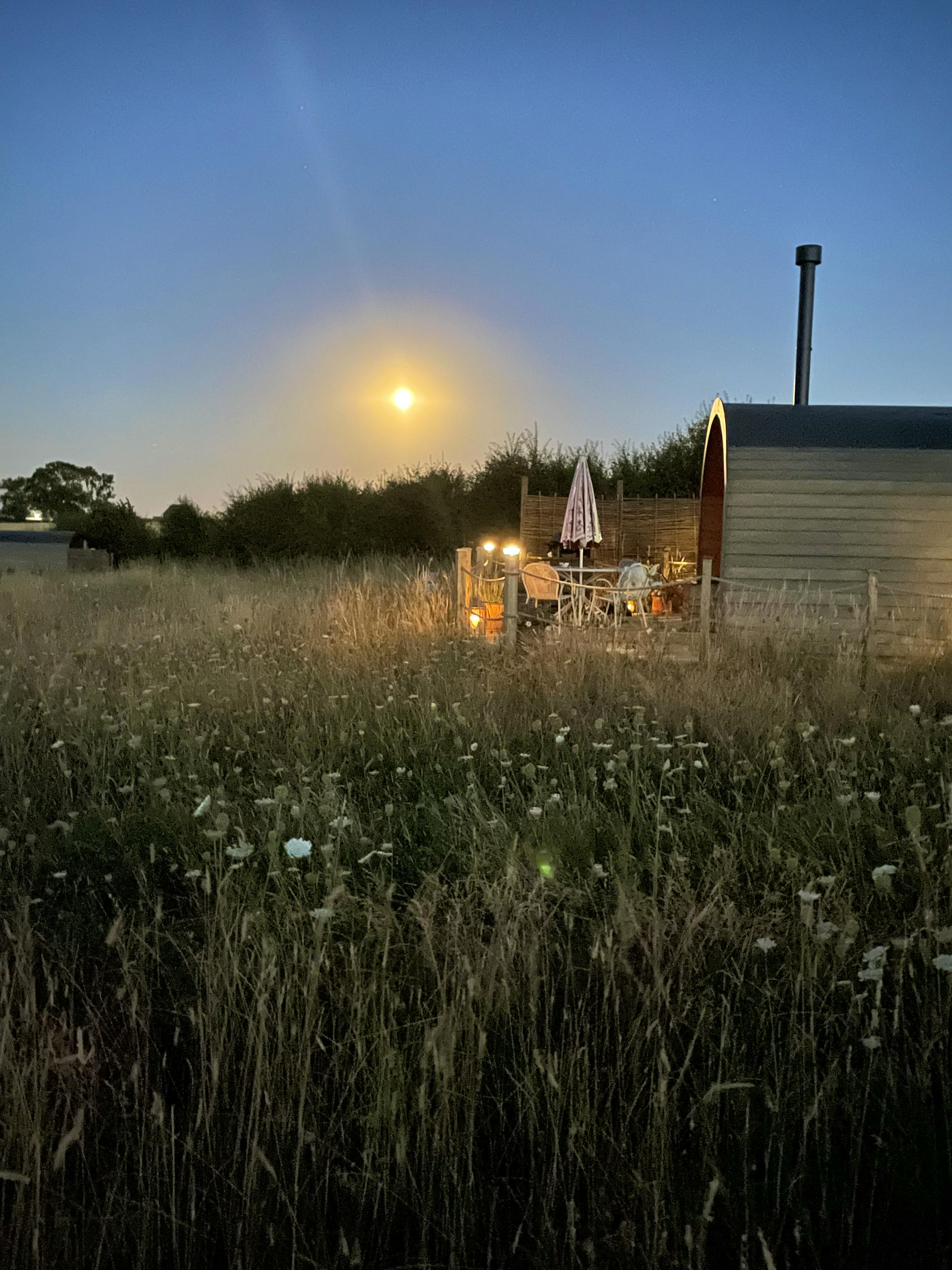 The moon over the cornflower cabin