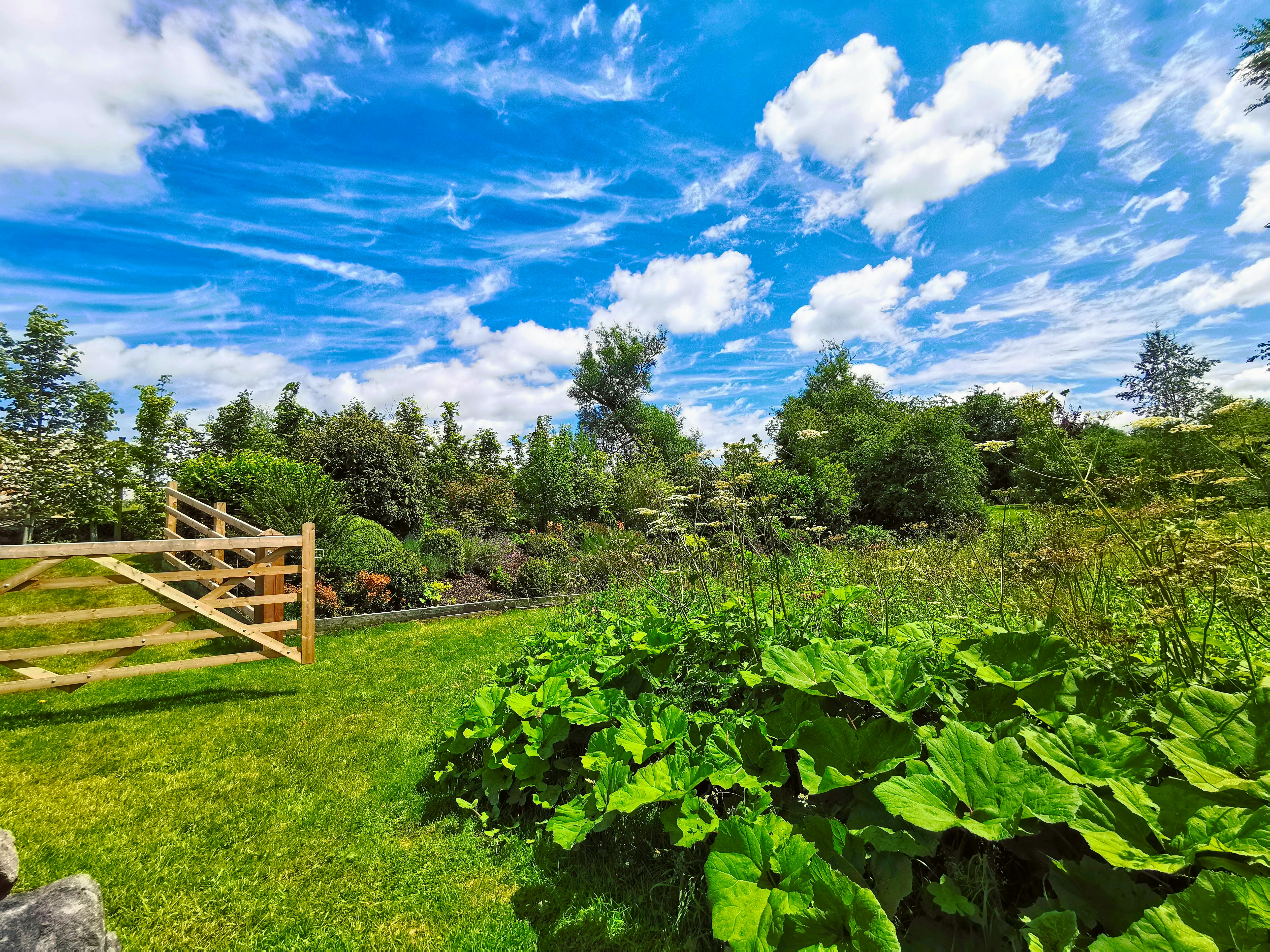 Waterside Barn Garden (2)