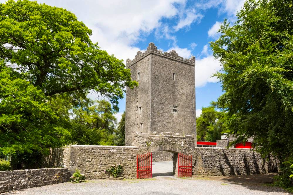 County Meath Castle - Image 1