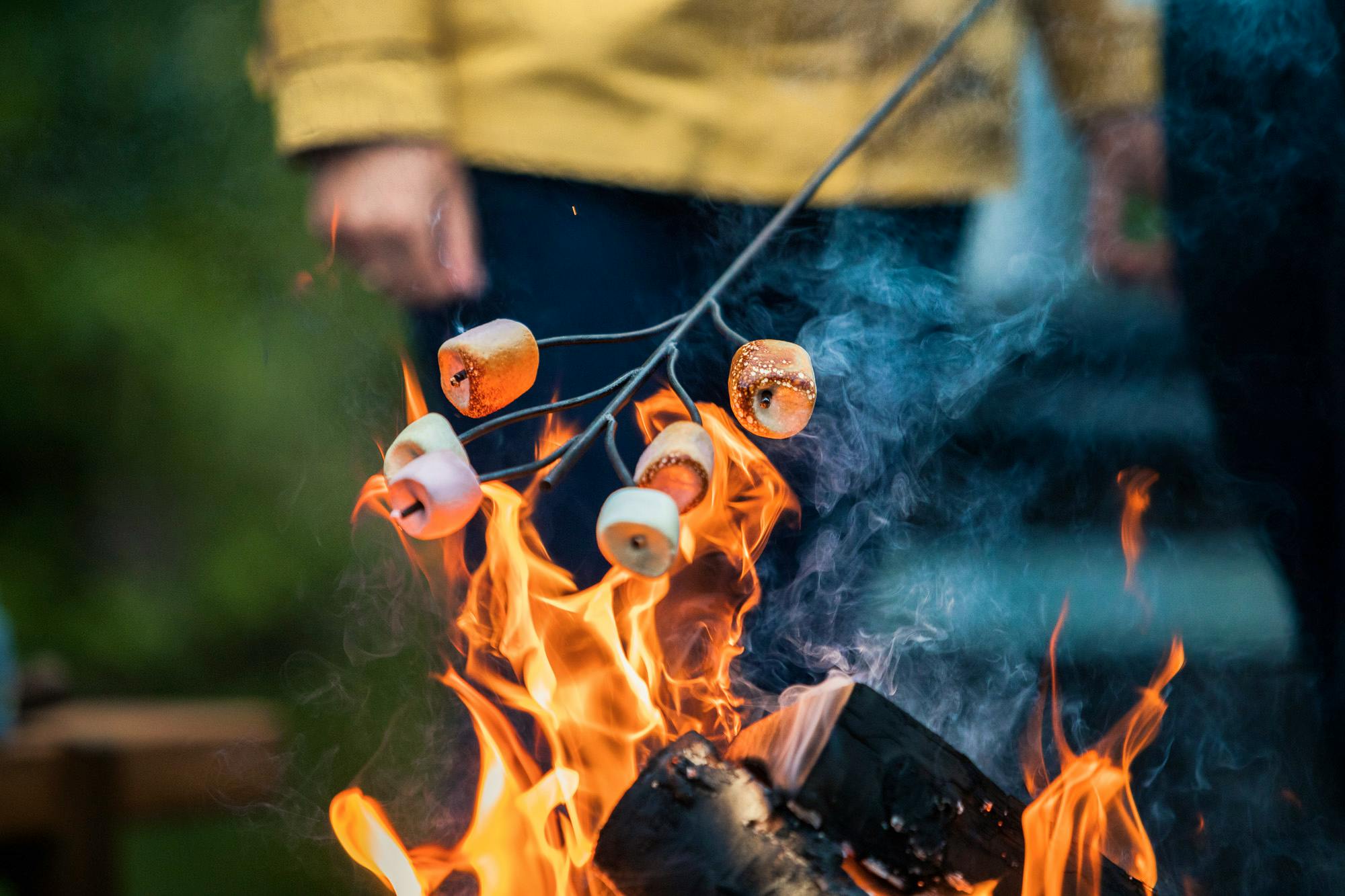 Toast marshmallows on the fire pit