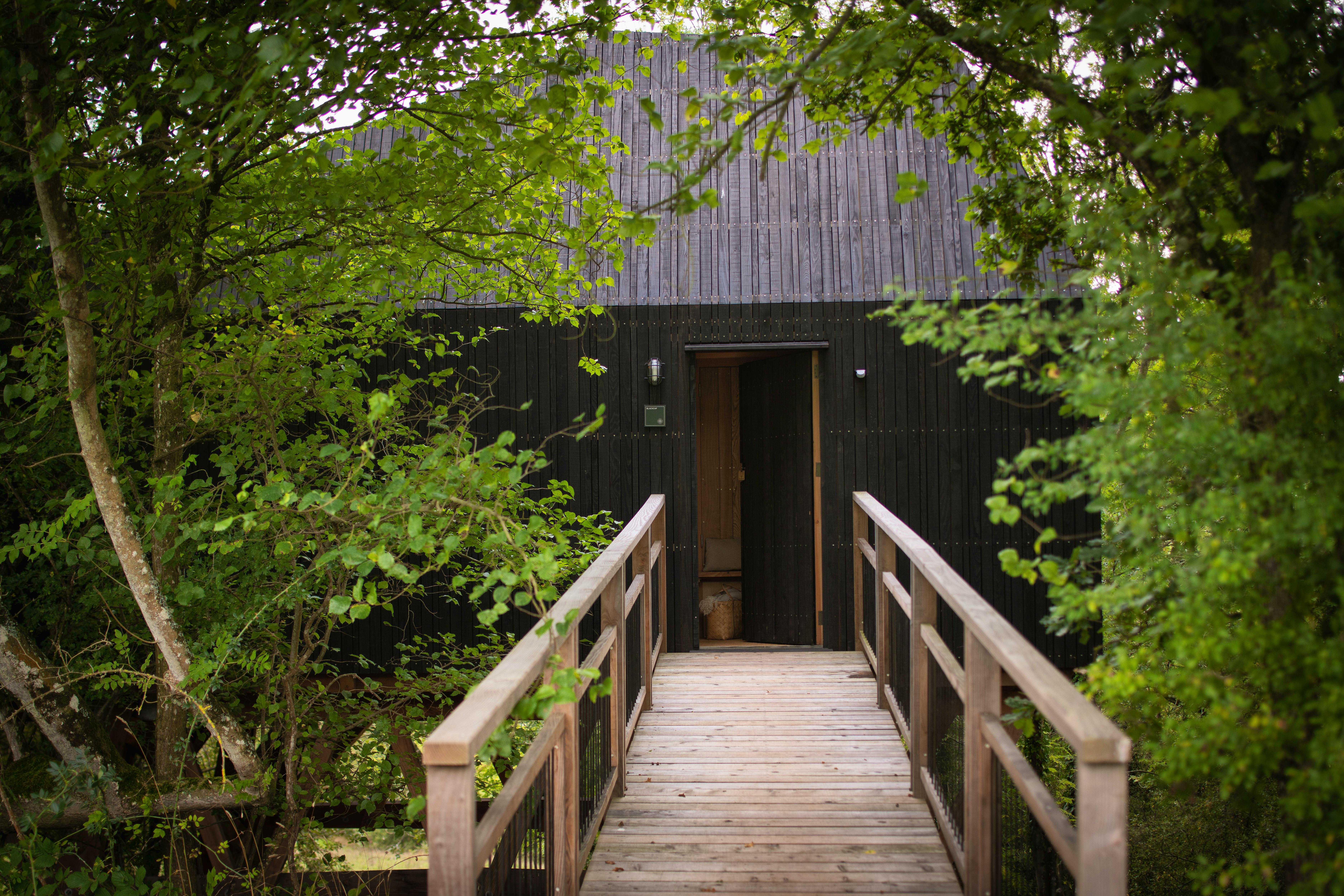 Up the wooden bridge into the trees
