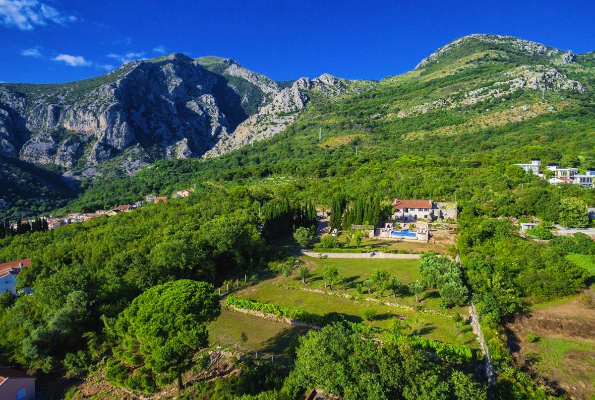 Spizza Haven - Image 1