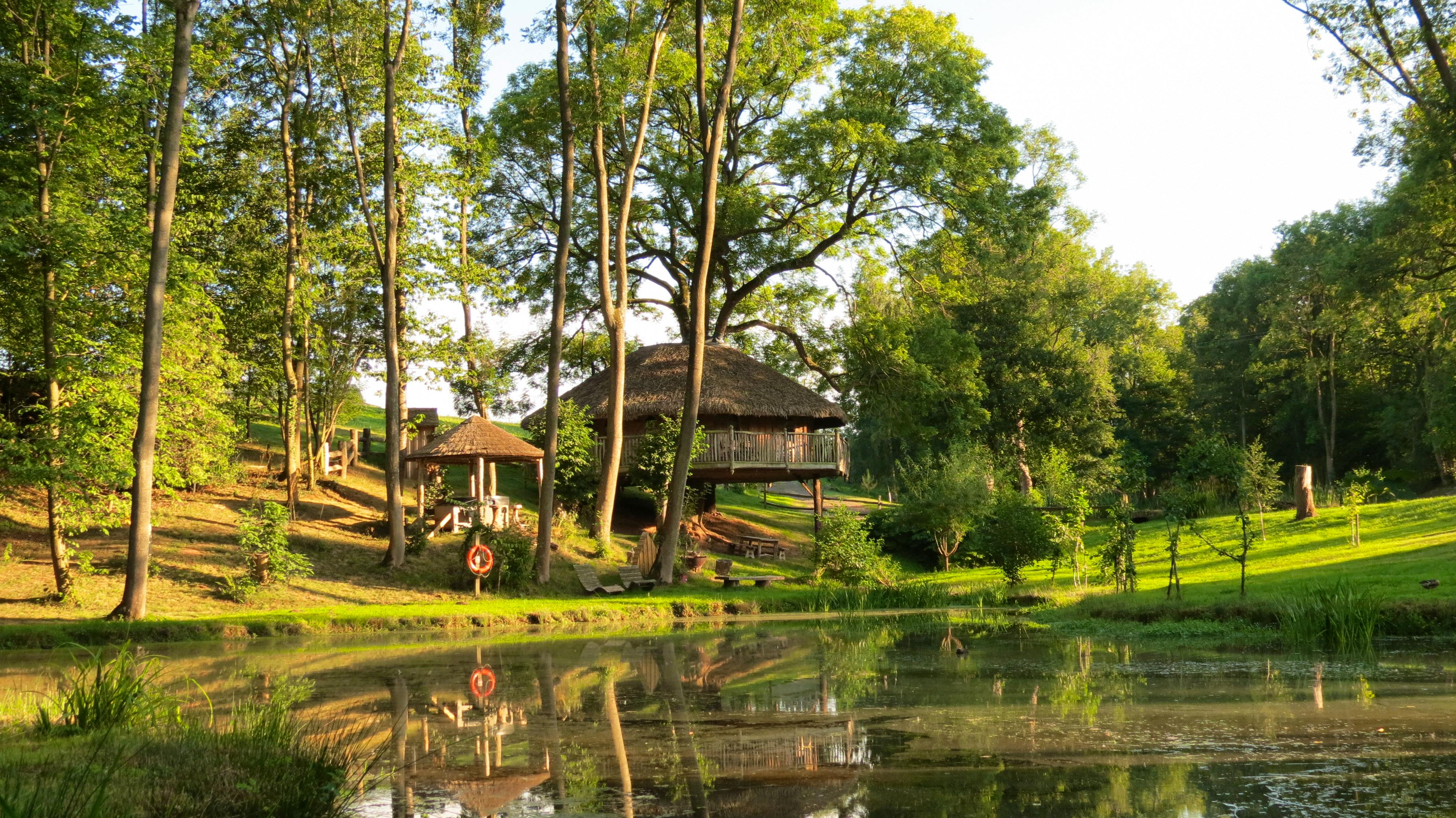 15 of the Best Treehouses with Hot Tubs