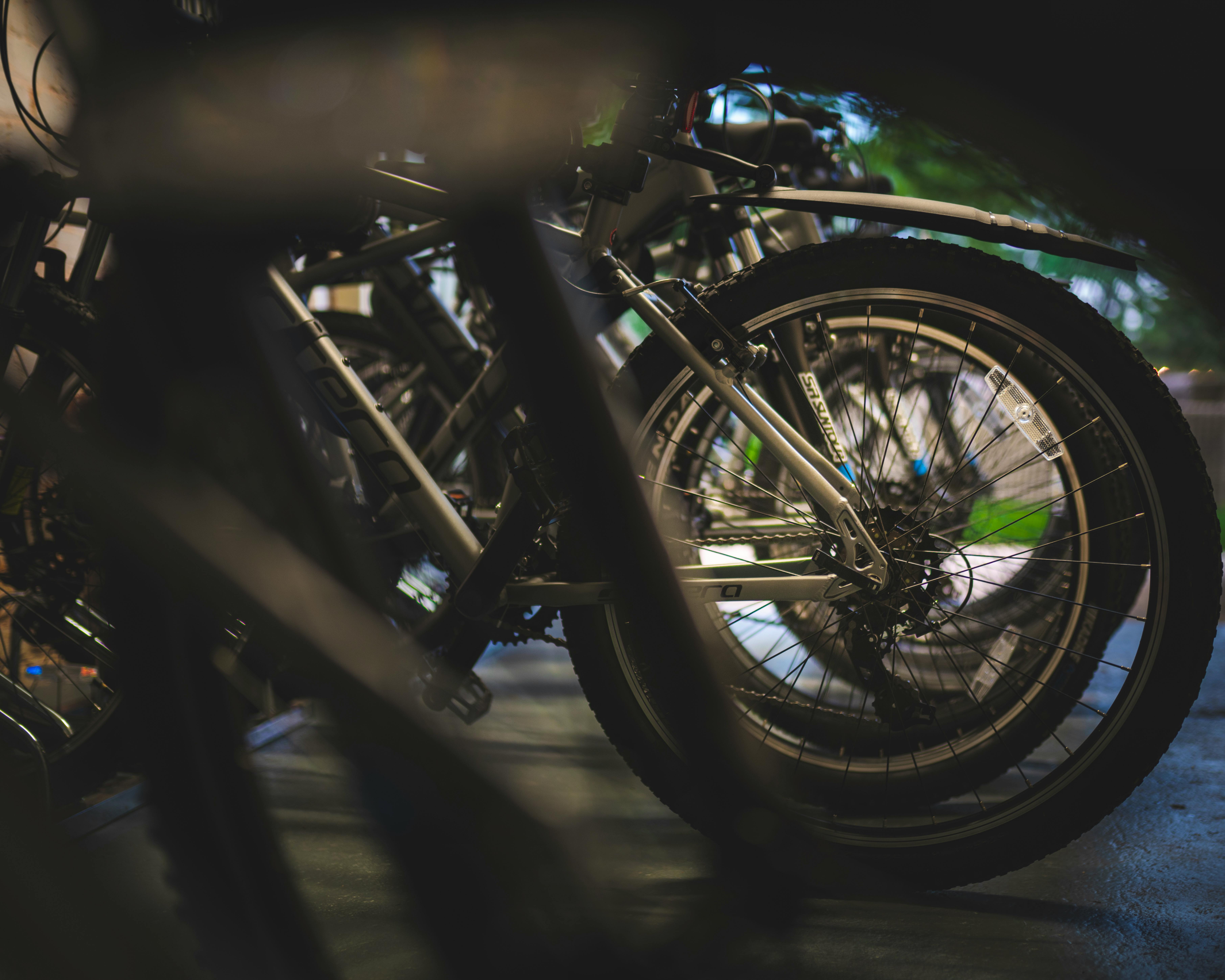 Fleet of Carrera Mountain Bikes