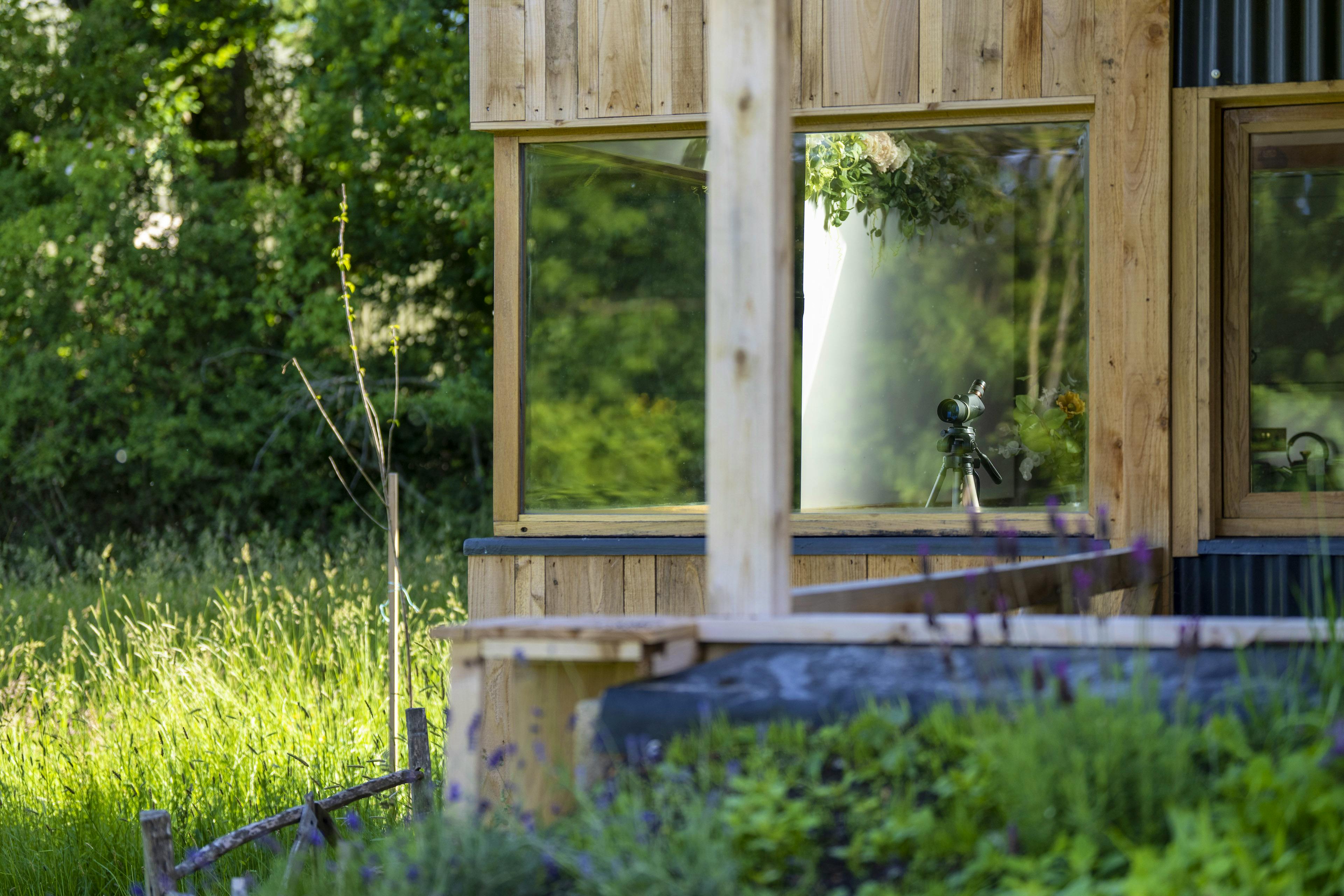 Bird watchers paradise