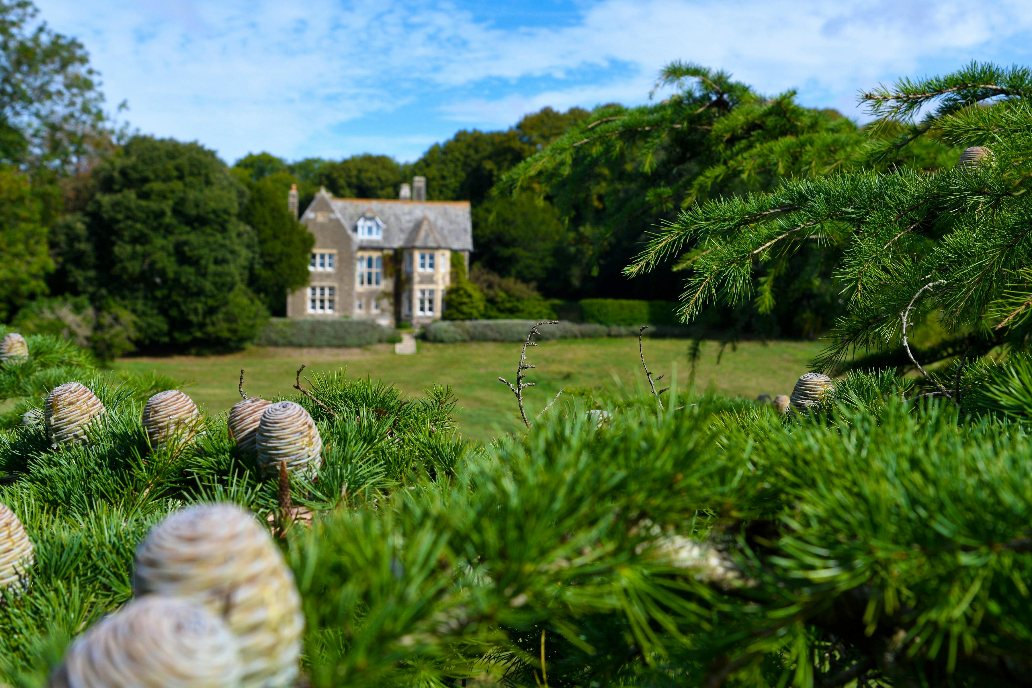 This Week's Best New Coolstays