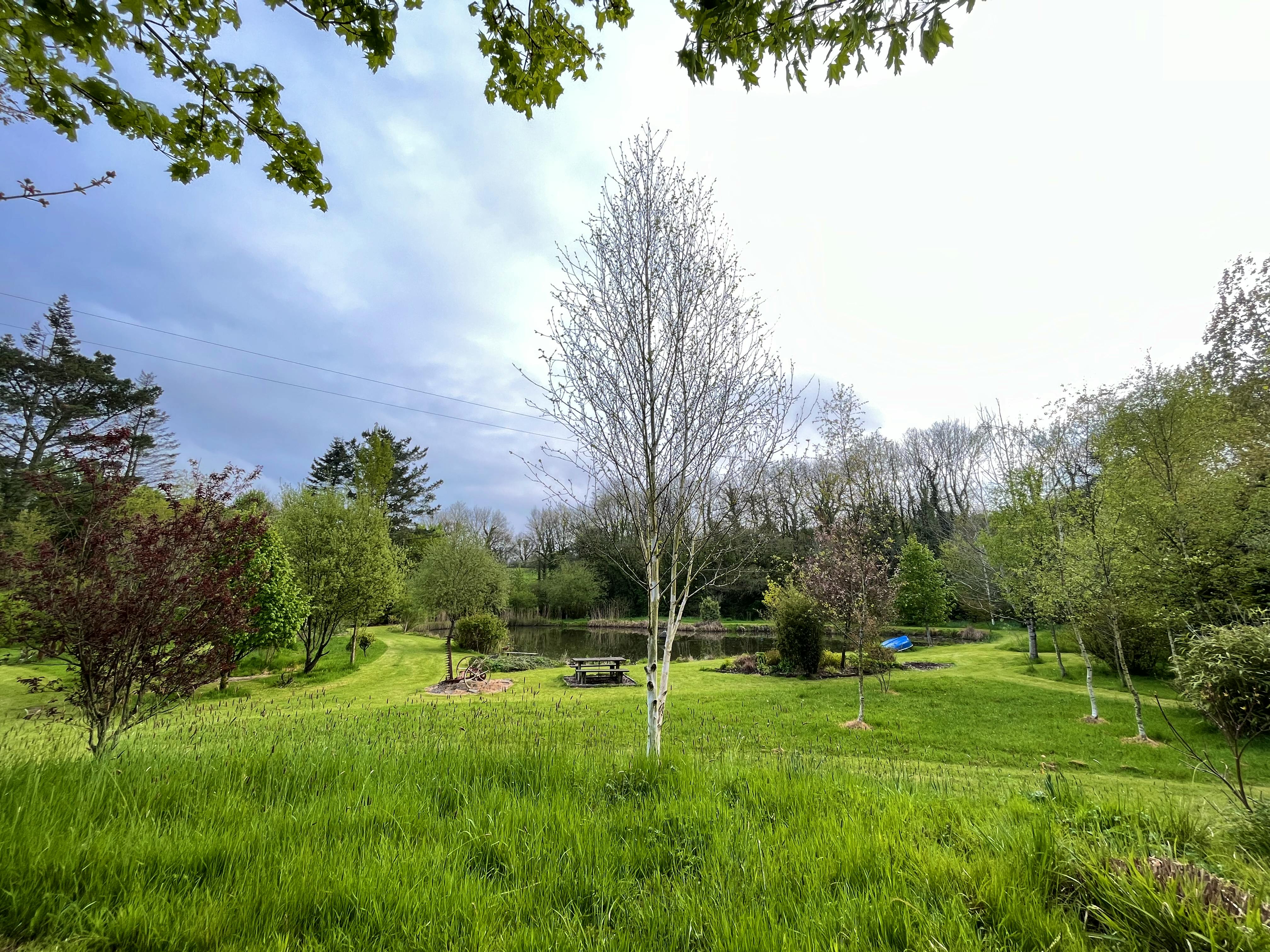 View from seat across the pond area