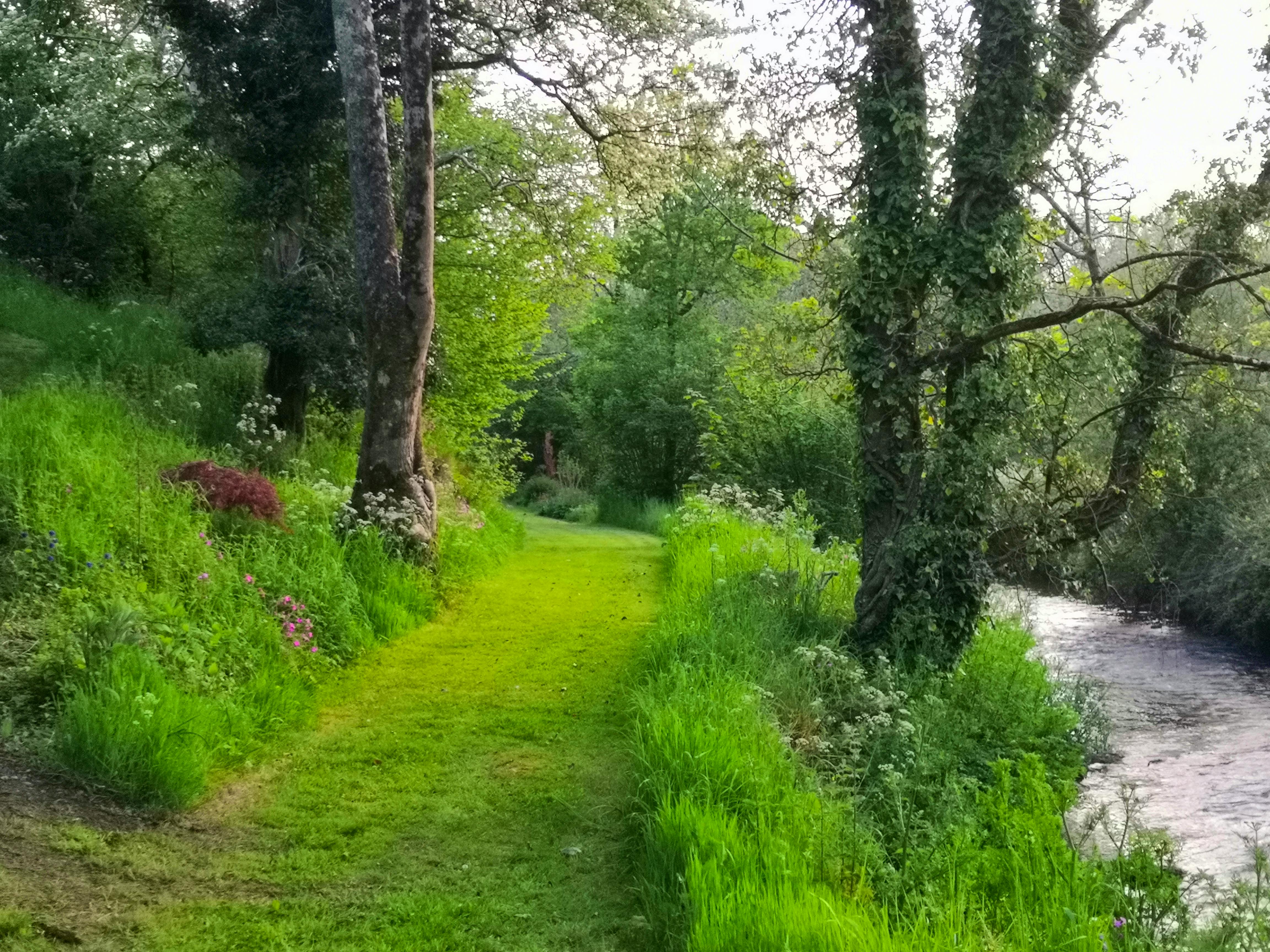 Take a streamside walk together