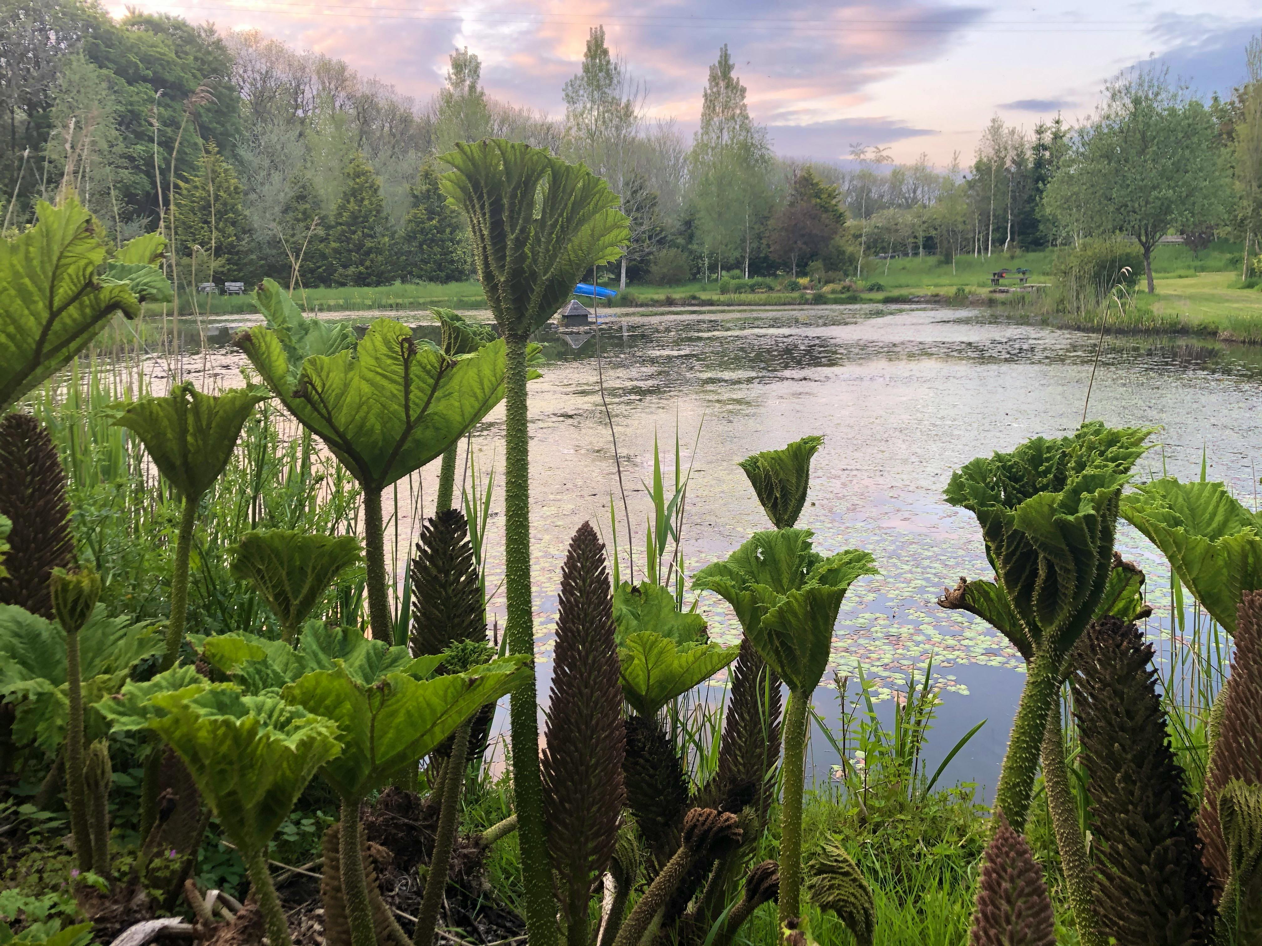 Enjoy the beautifuly madel 9 acres 