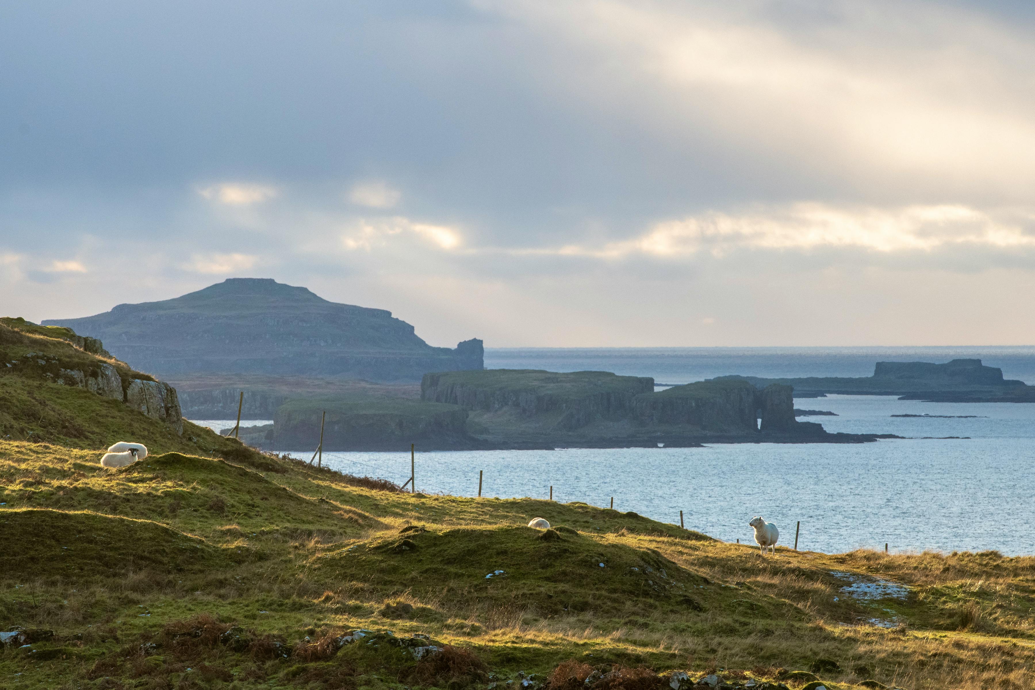 The Treshnish Isles from Haunn