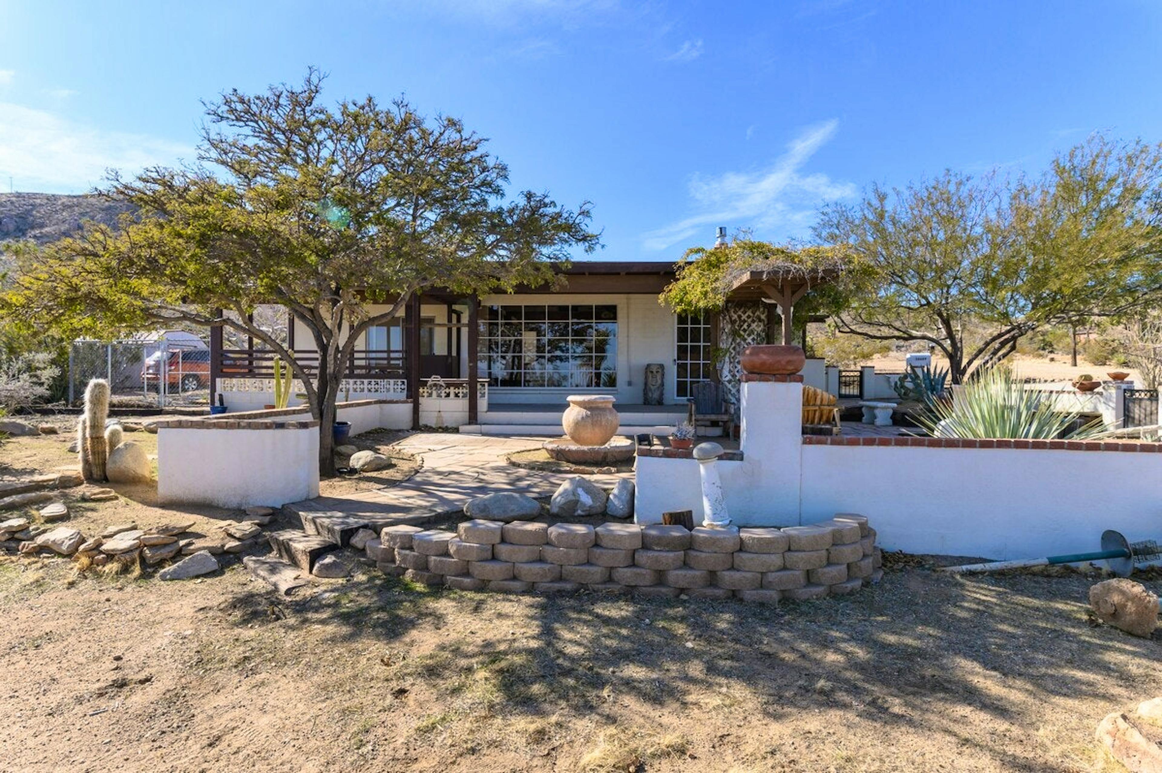 Cactus Sunshine - Image 1