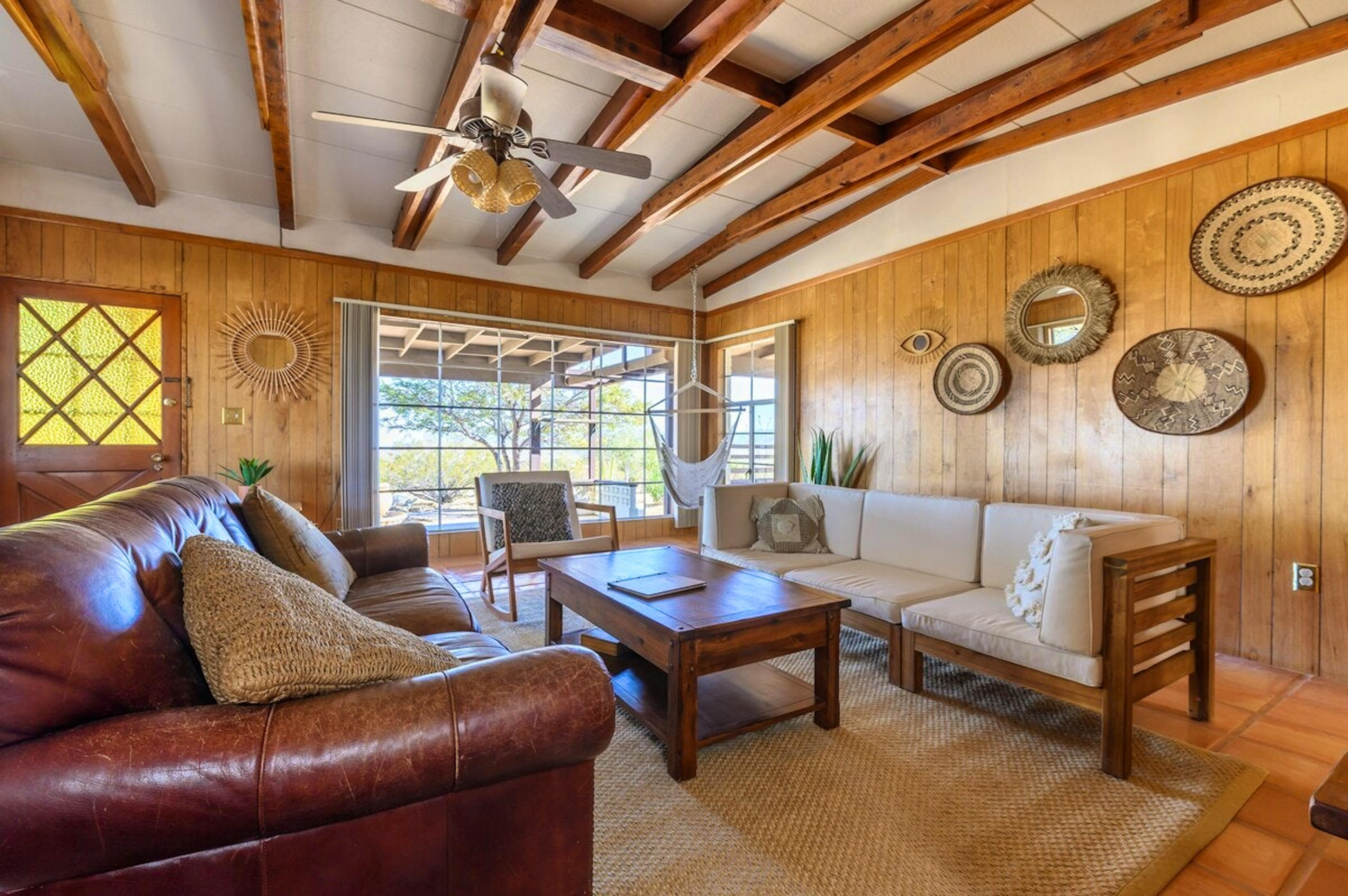 Cactus Sunshine - Image 3