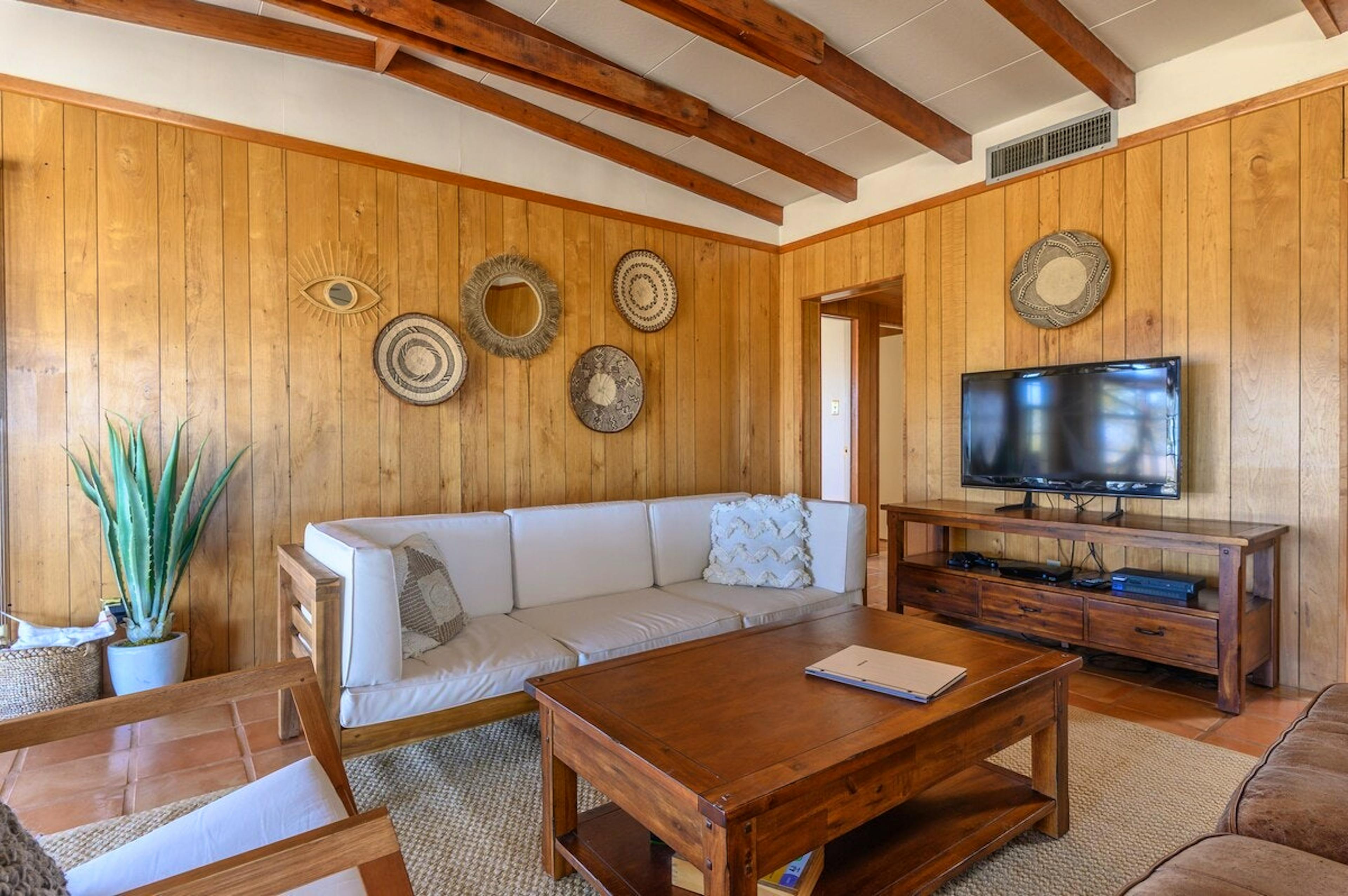 Cactus Sunshine - Image 4