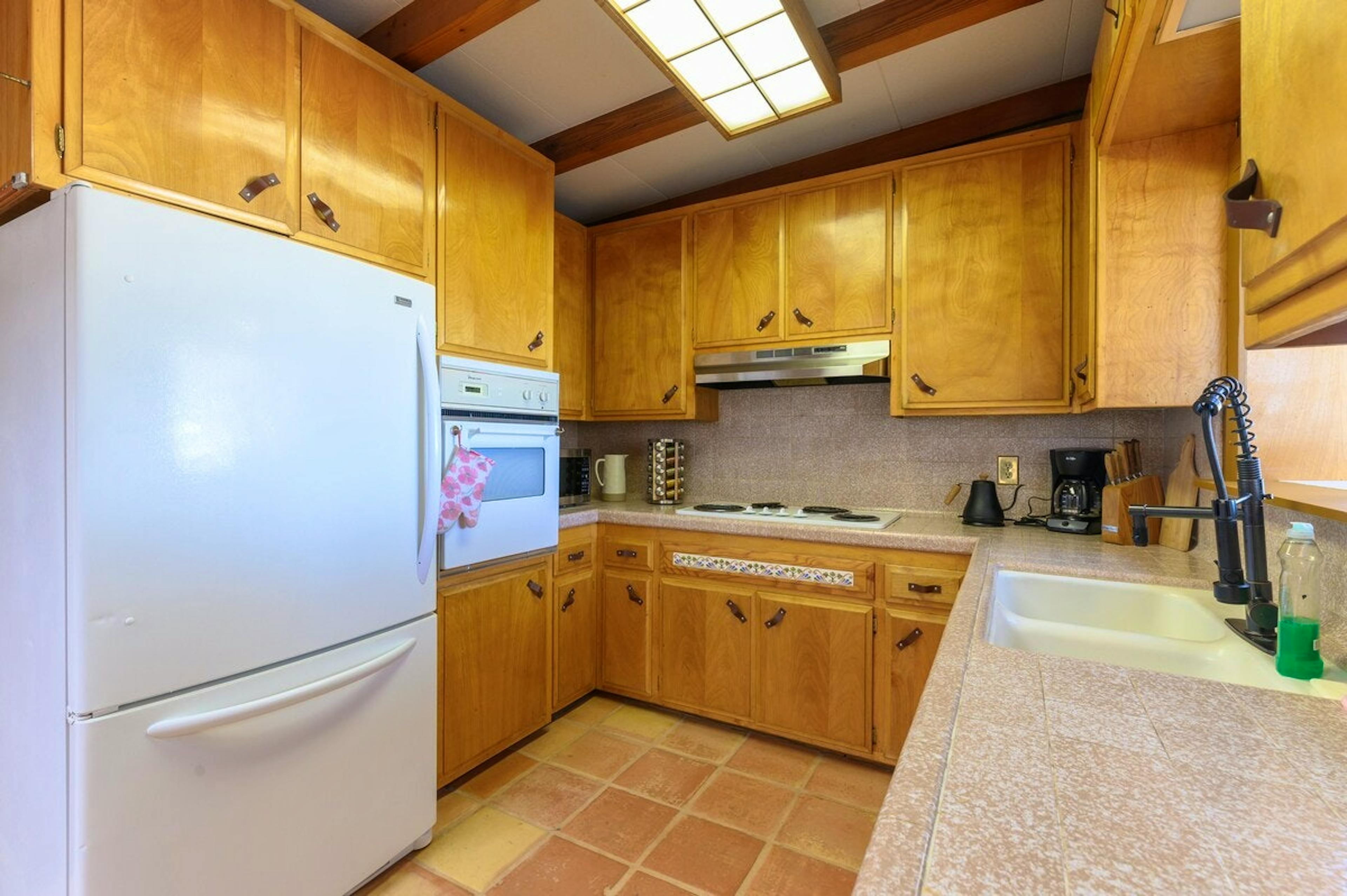 Cactus Sunshine - Image 5