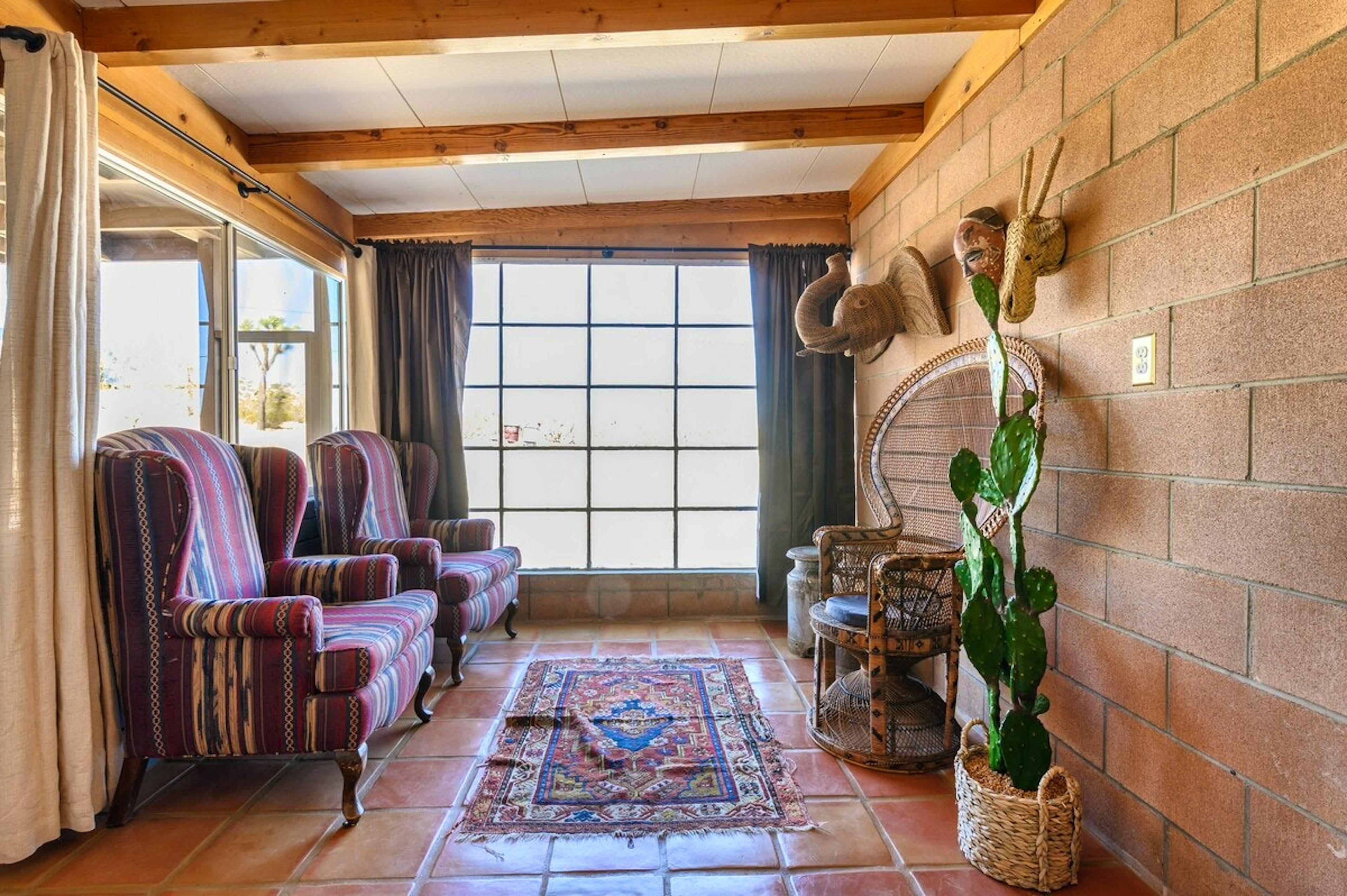 Cactus Sunshine - Image 6