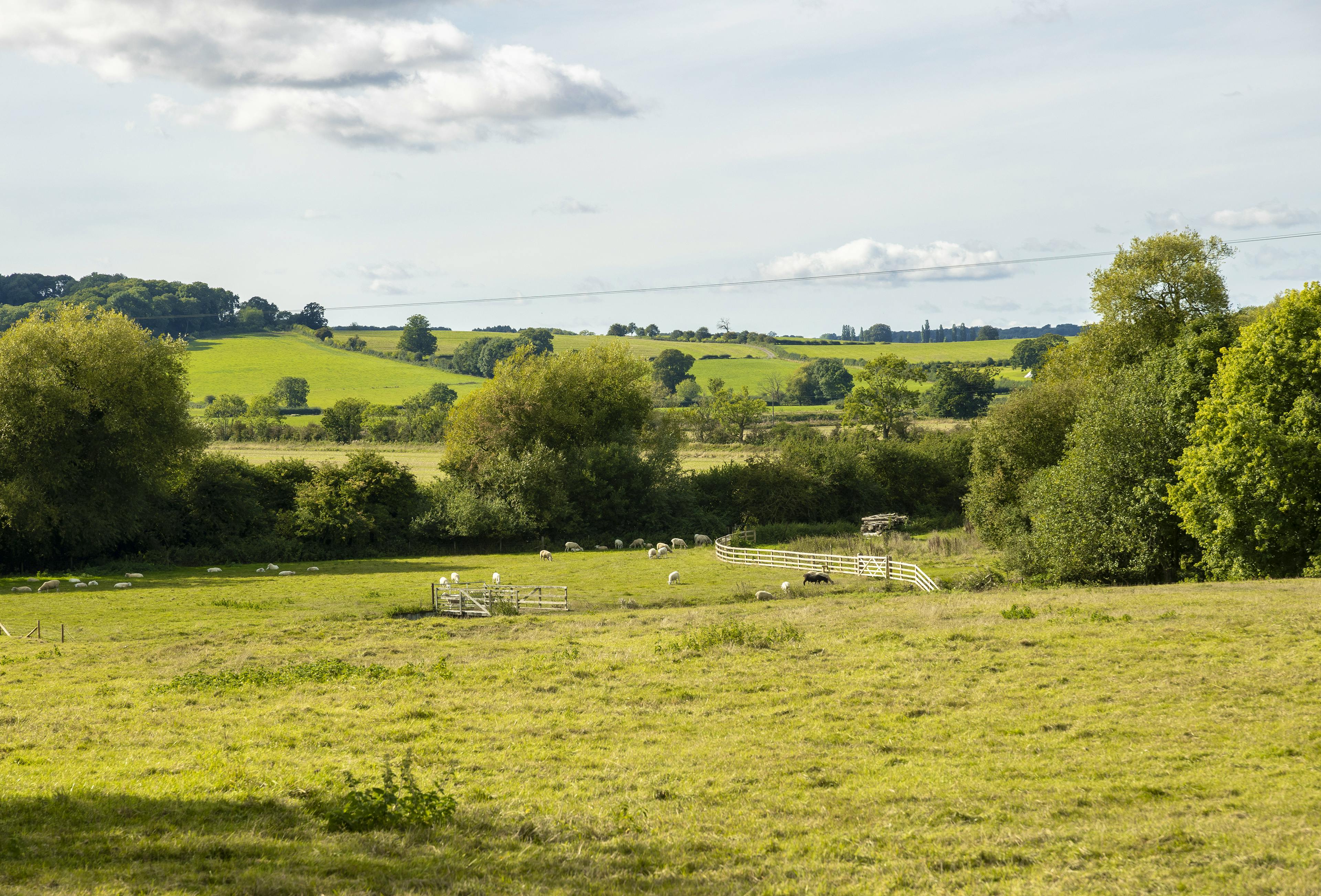 View from rear patio