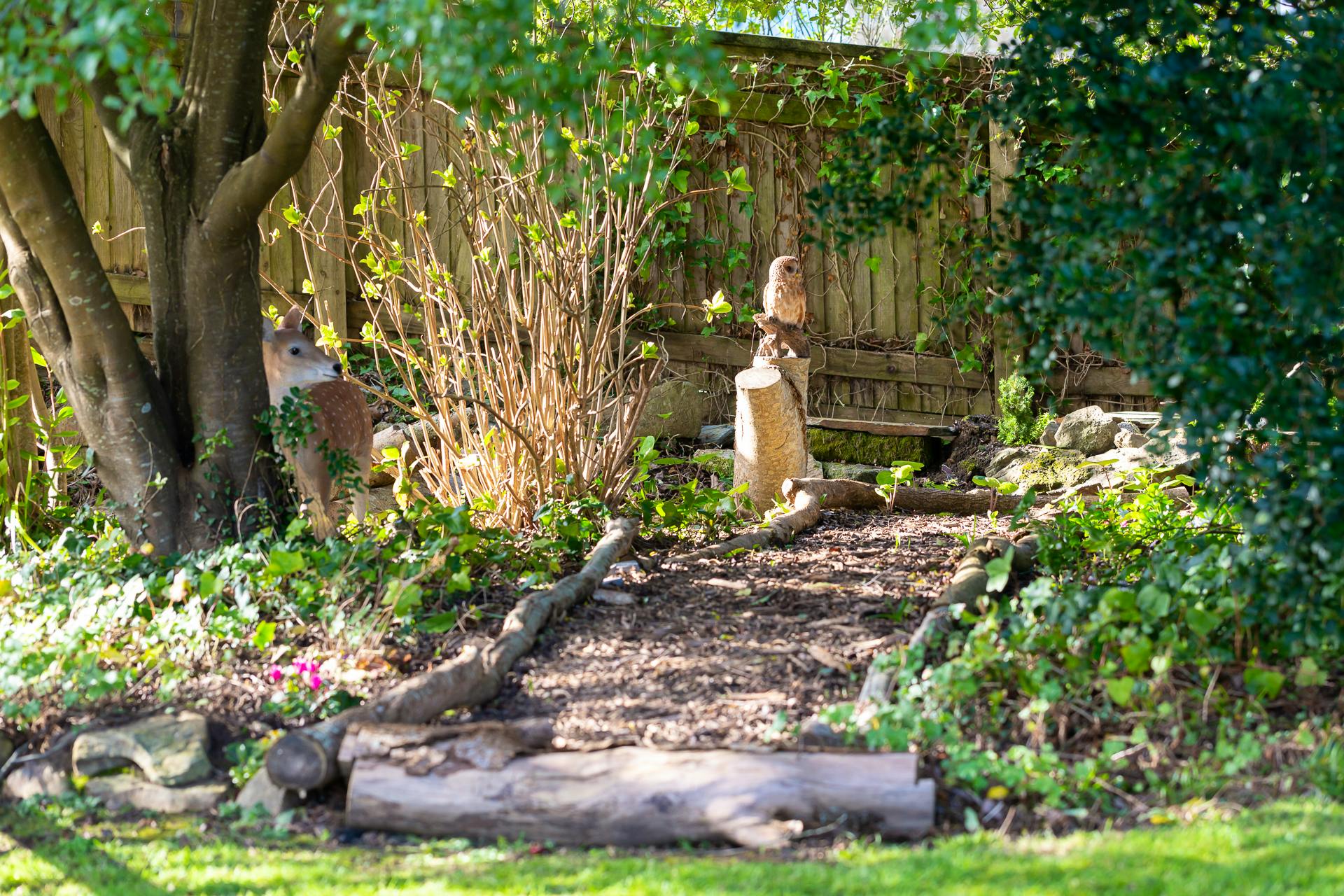 Explore the Woodland Walk