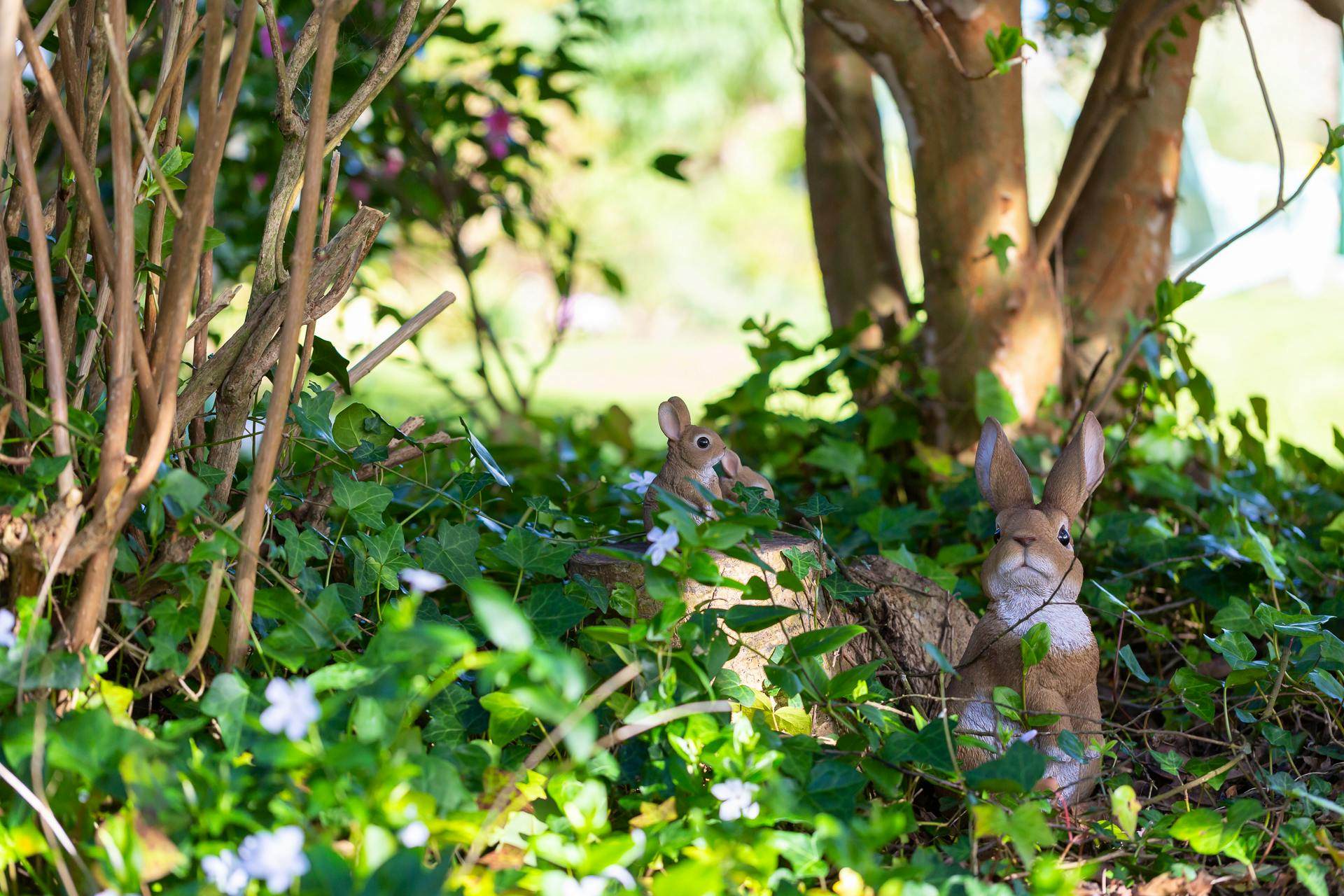Children love spotting the animals!