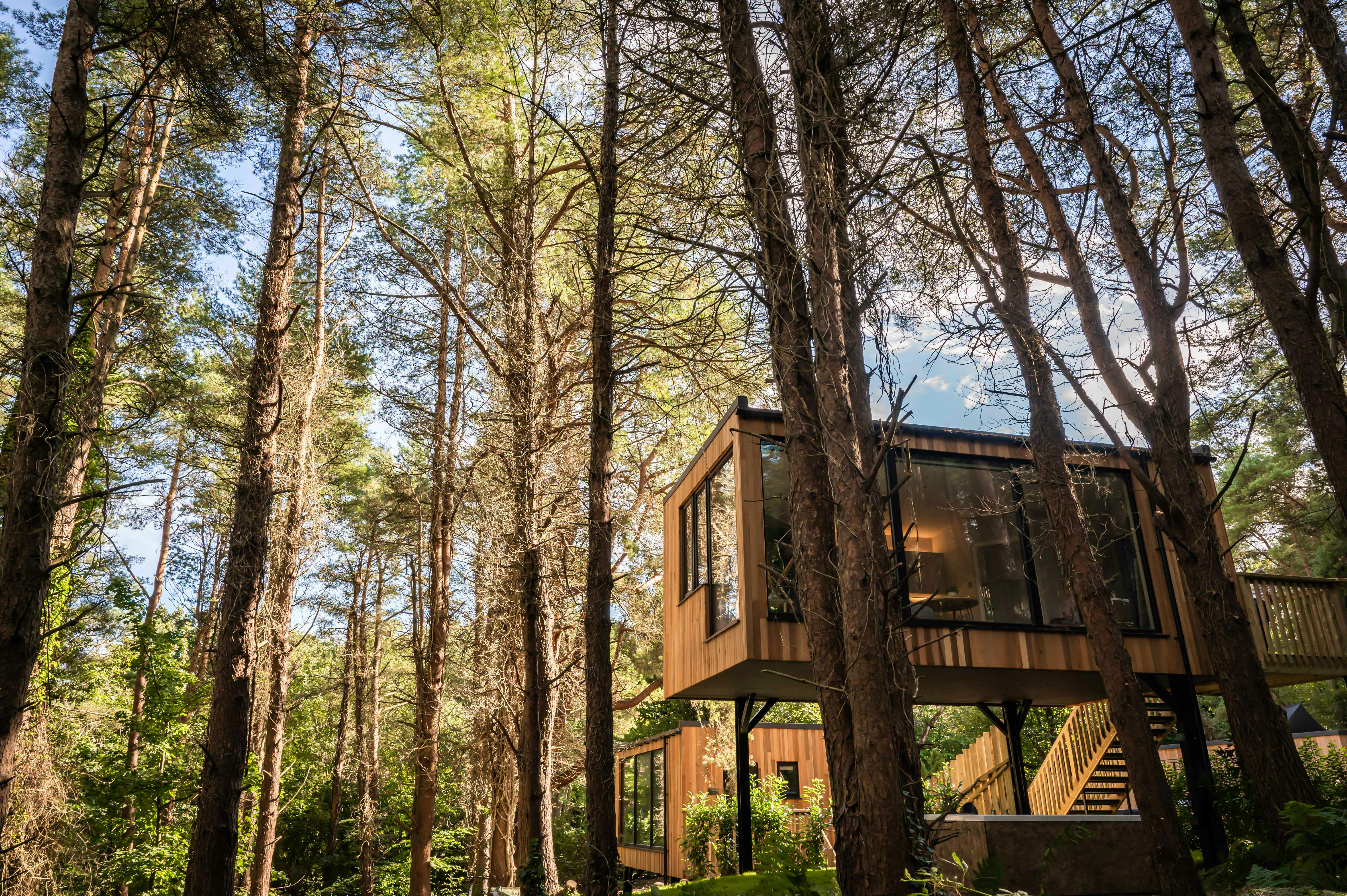 17 Fresh New Places to Stay