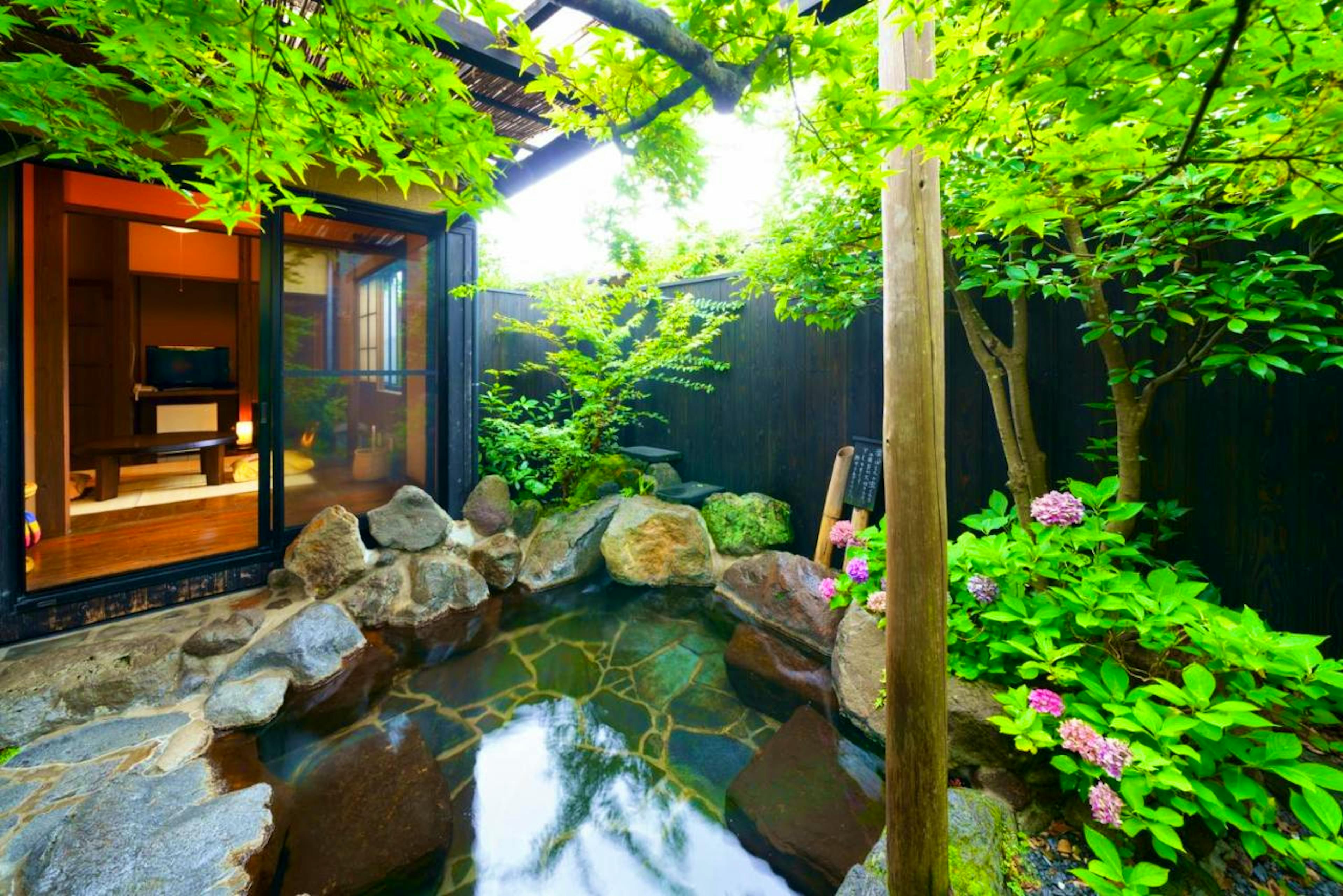 Yurari Rojumoyo - Image 1