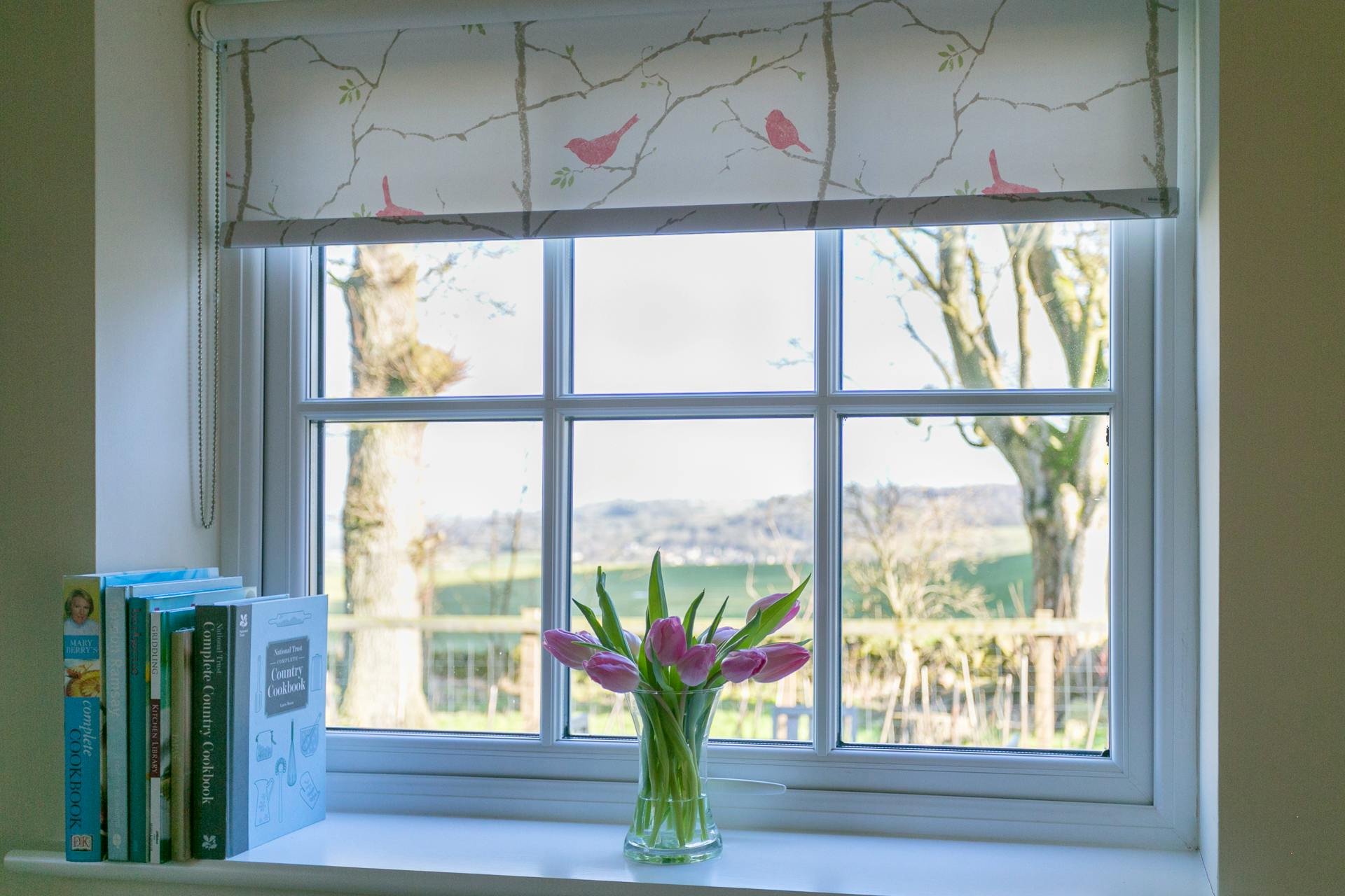 Lovely views from the windows 