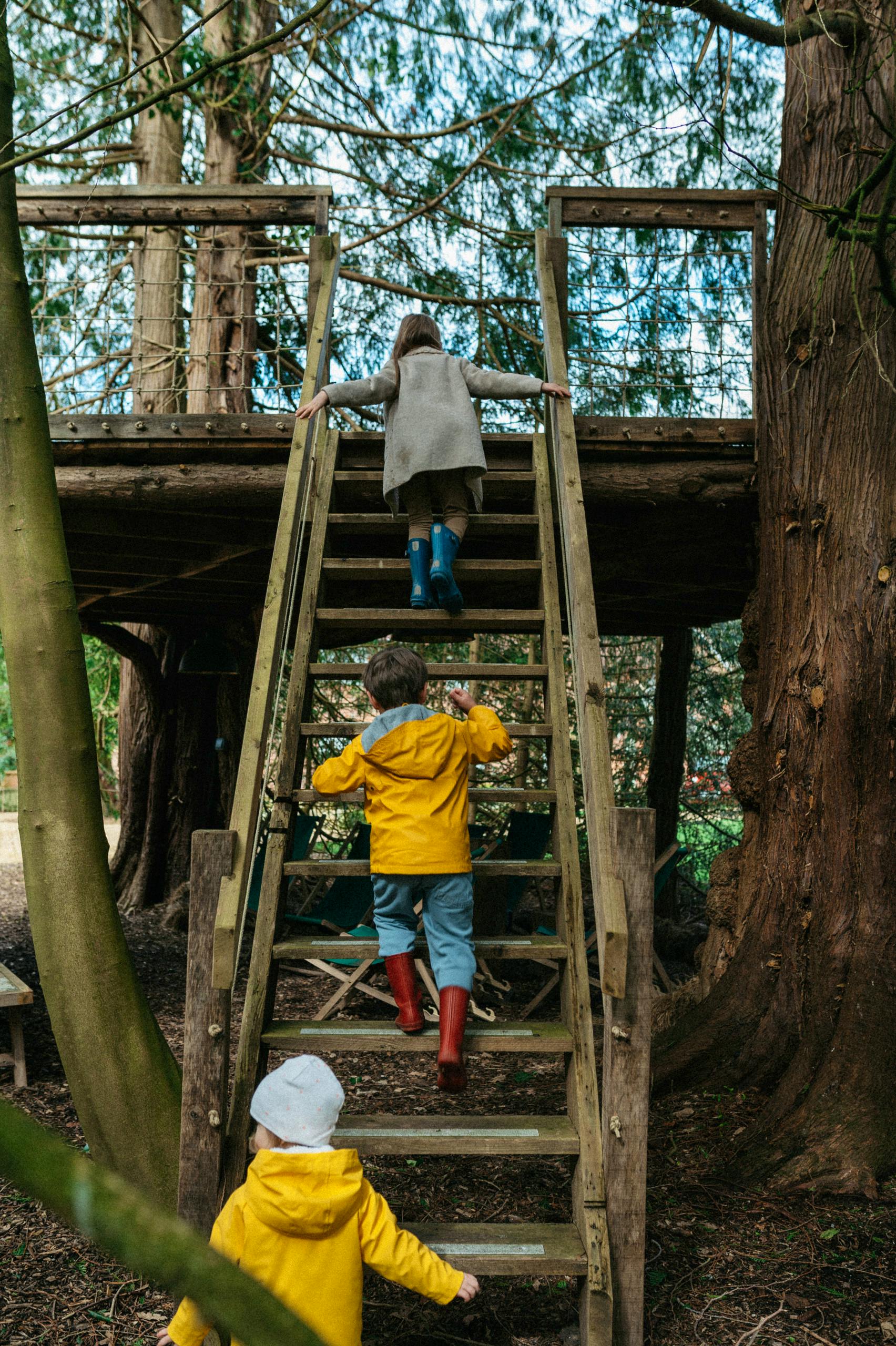 Tree house above the outdoor cinema